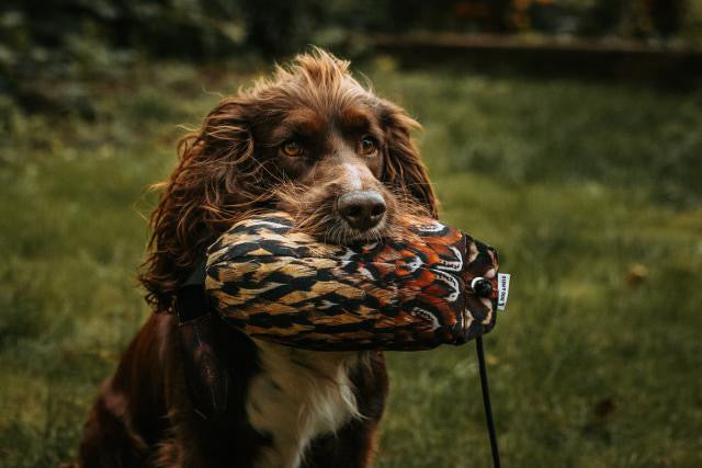 Dog and Field Original Clone Bird Dummies