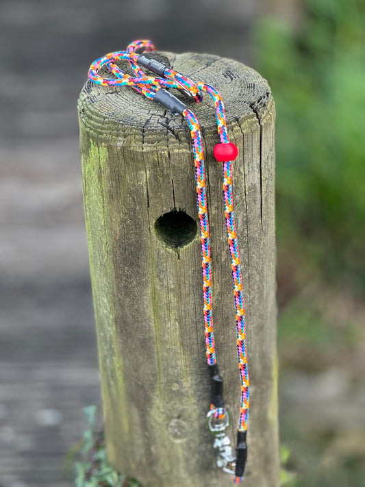 Paws@Brooklyn Heeling Lead with Slip Collar