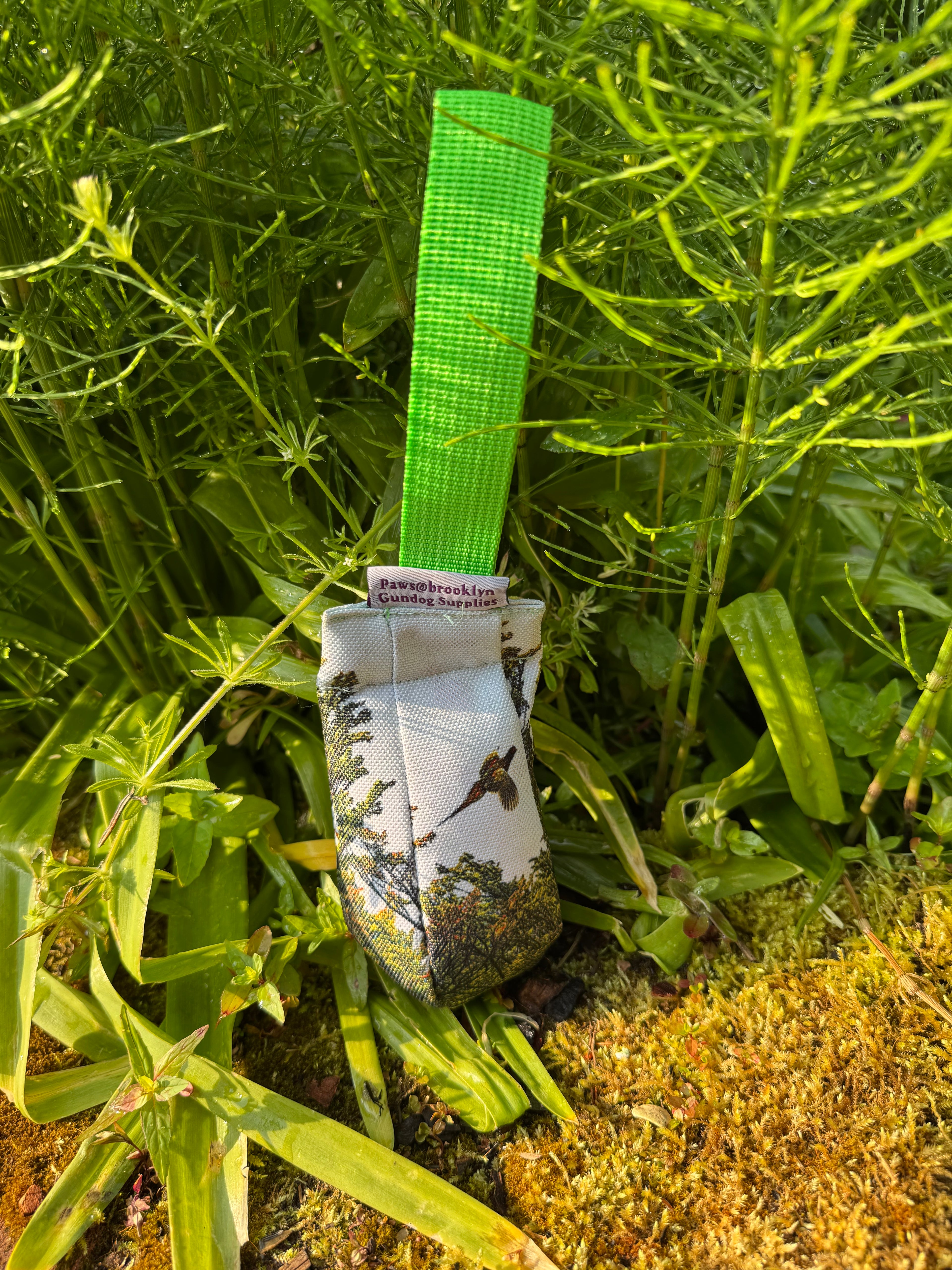 Paws@brooklyn NEW!!  The Game Pheasant Range