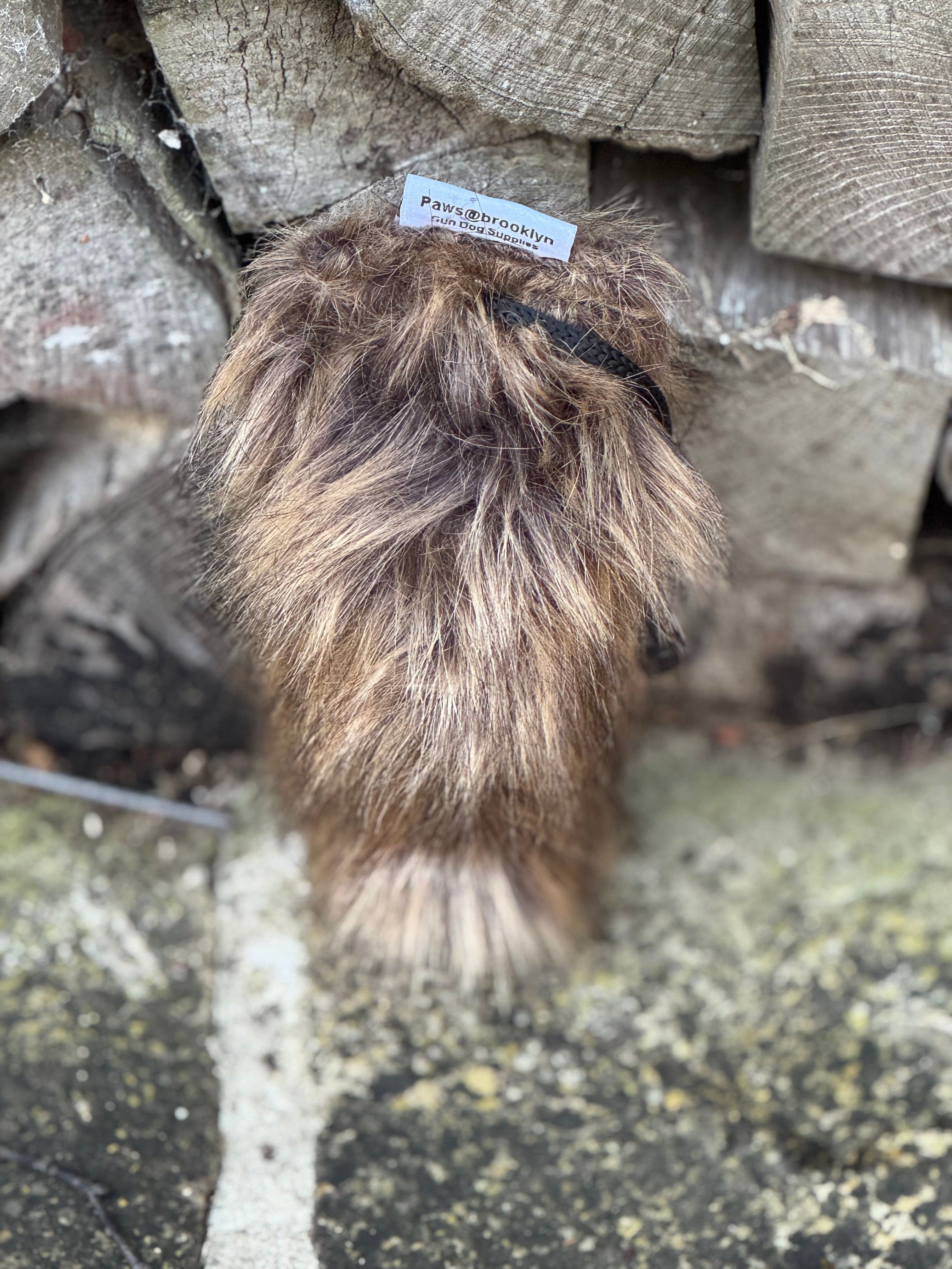 Paws@brooklyn Fur Dummies