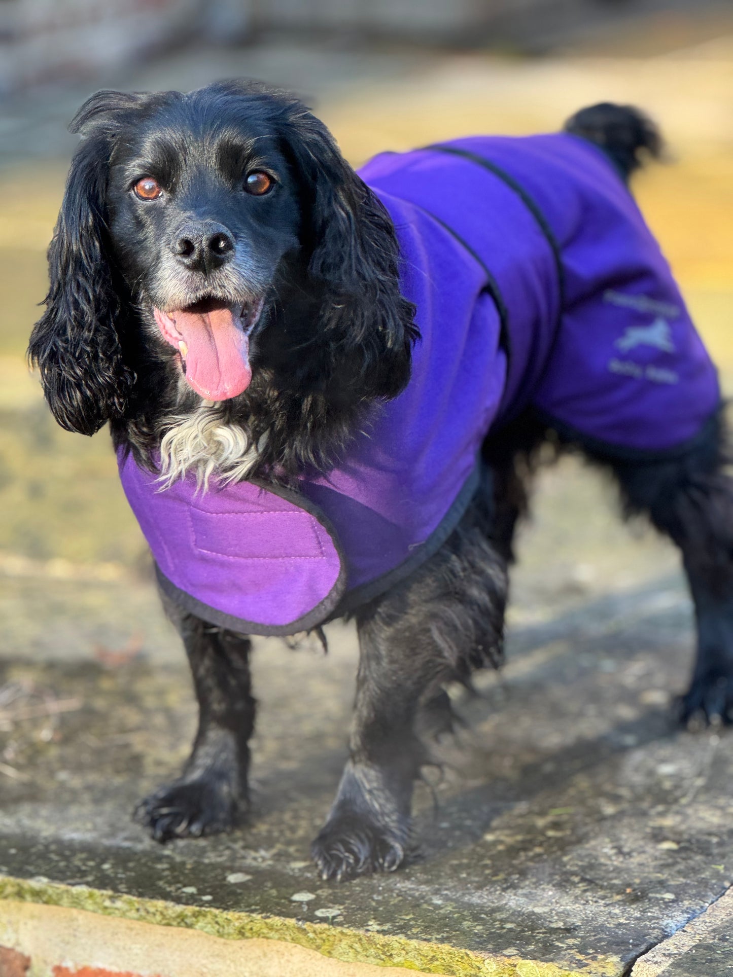 Paws@brooklyn Dog Coats