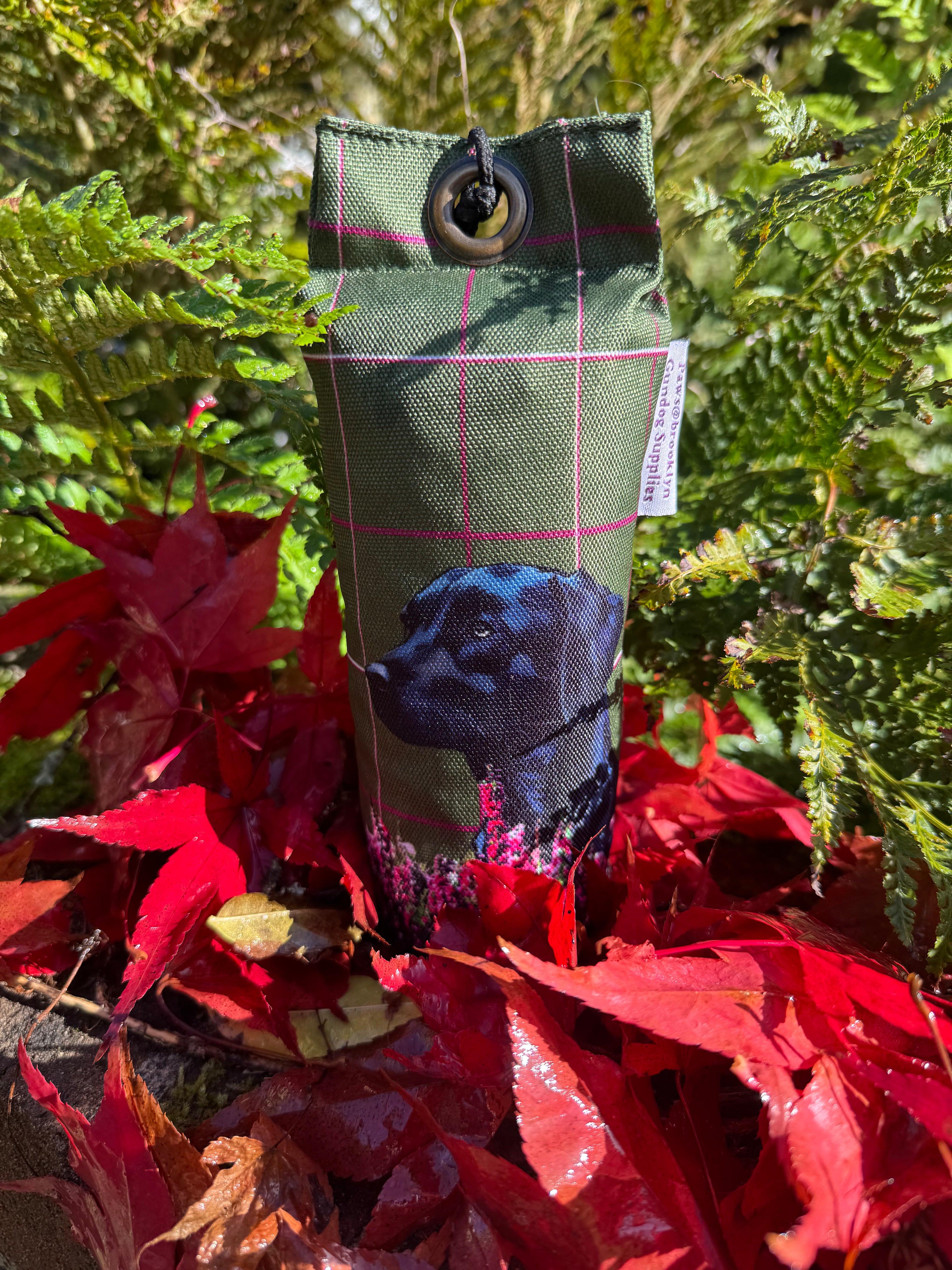 Paws@brooklyn Labrador Dummy