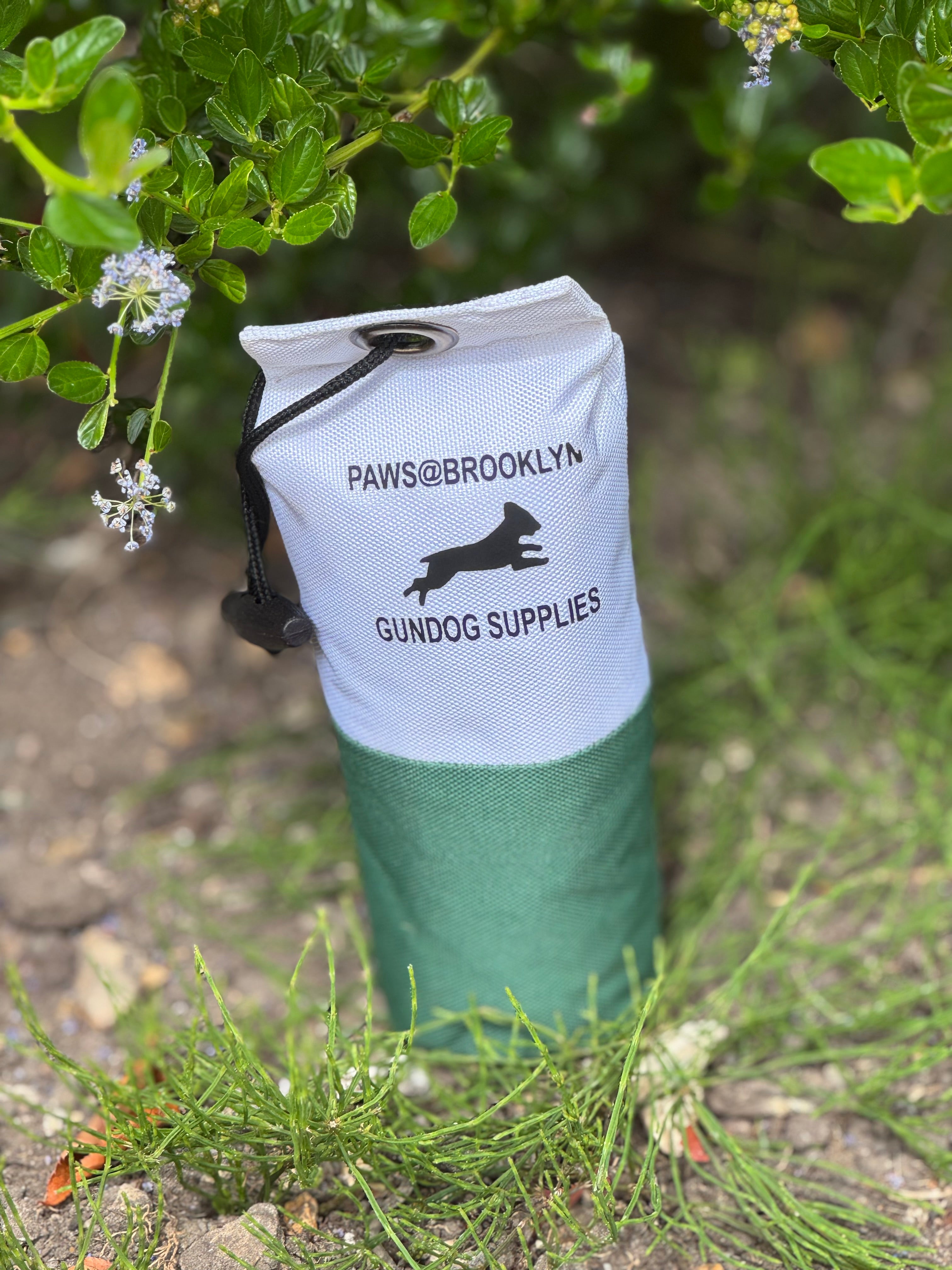 Paws@brooklyn Rainbow and Canvas Dummies