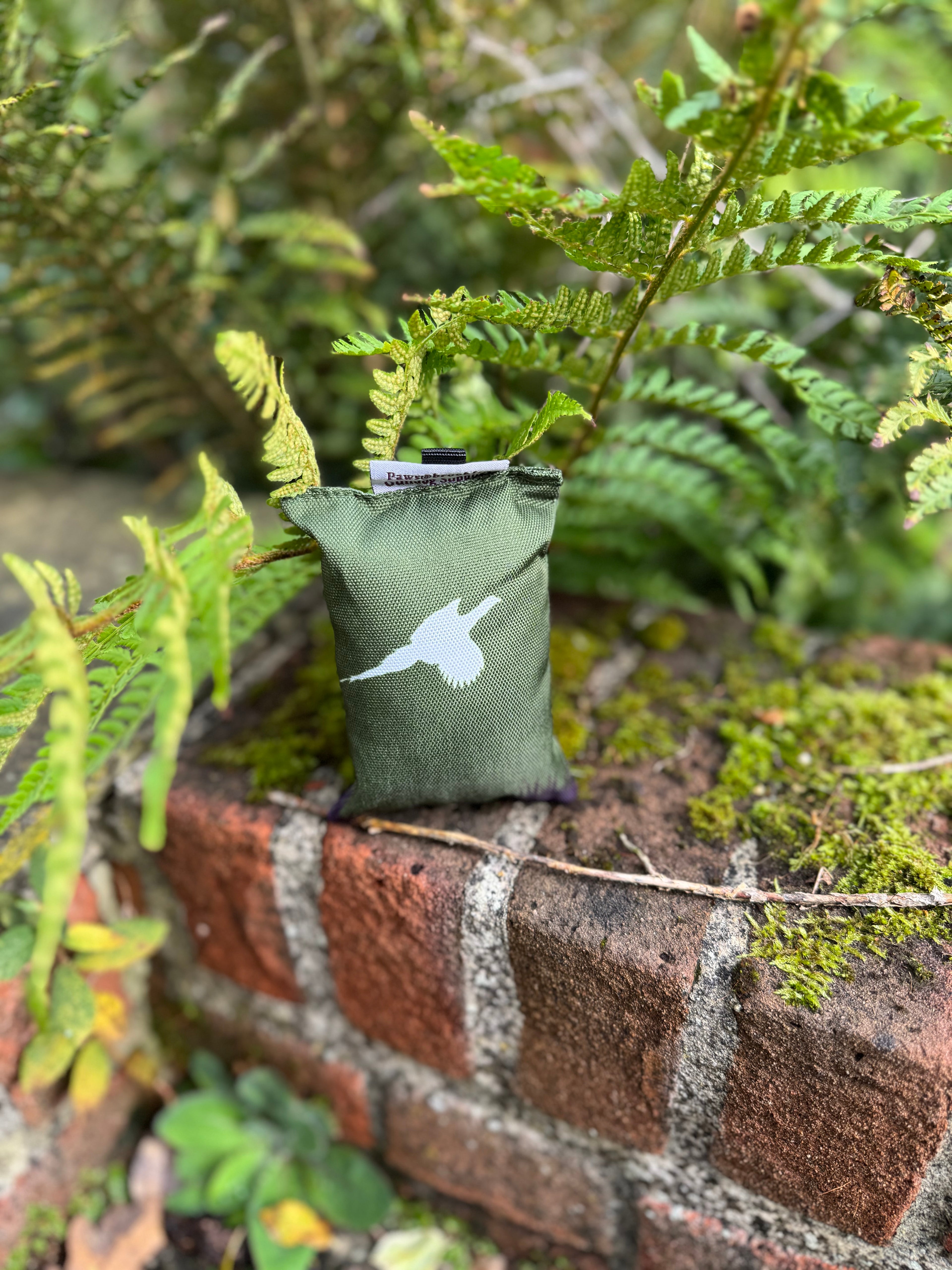 Paws@brooklyn Paws Spaniel Dummies