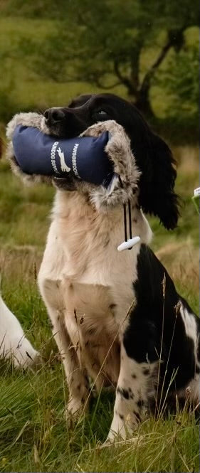 Paw@brooklyn 1/2 Fur/Canvas Dummies