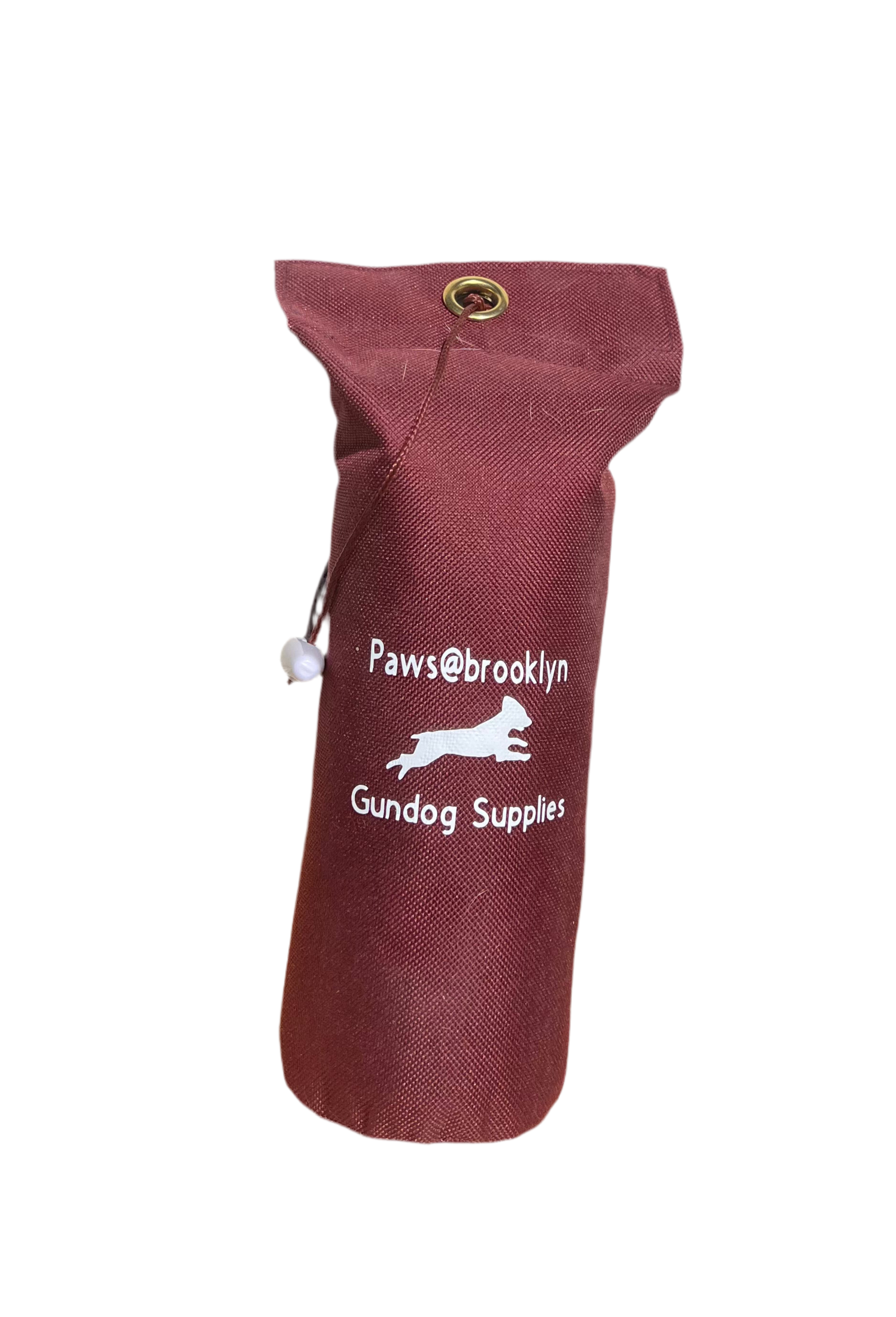 Paws@brooklyn Rainbow and Canvas Dummies