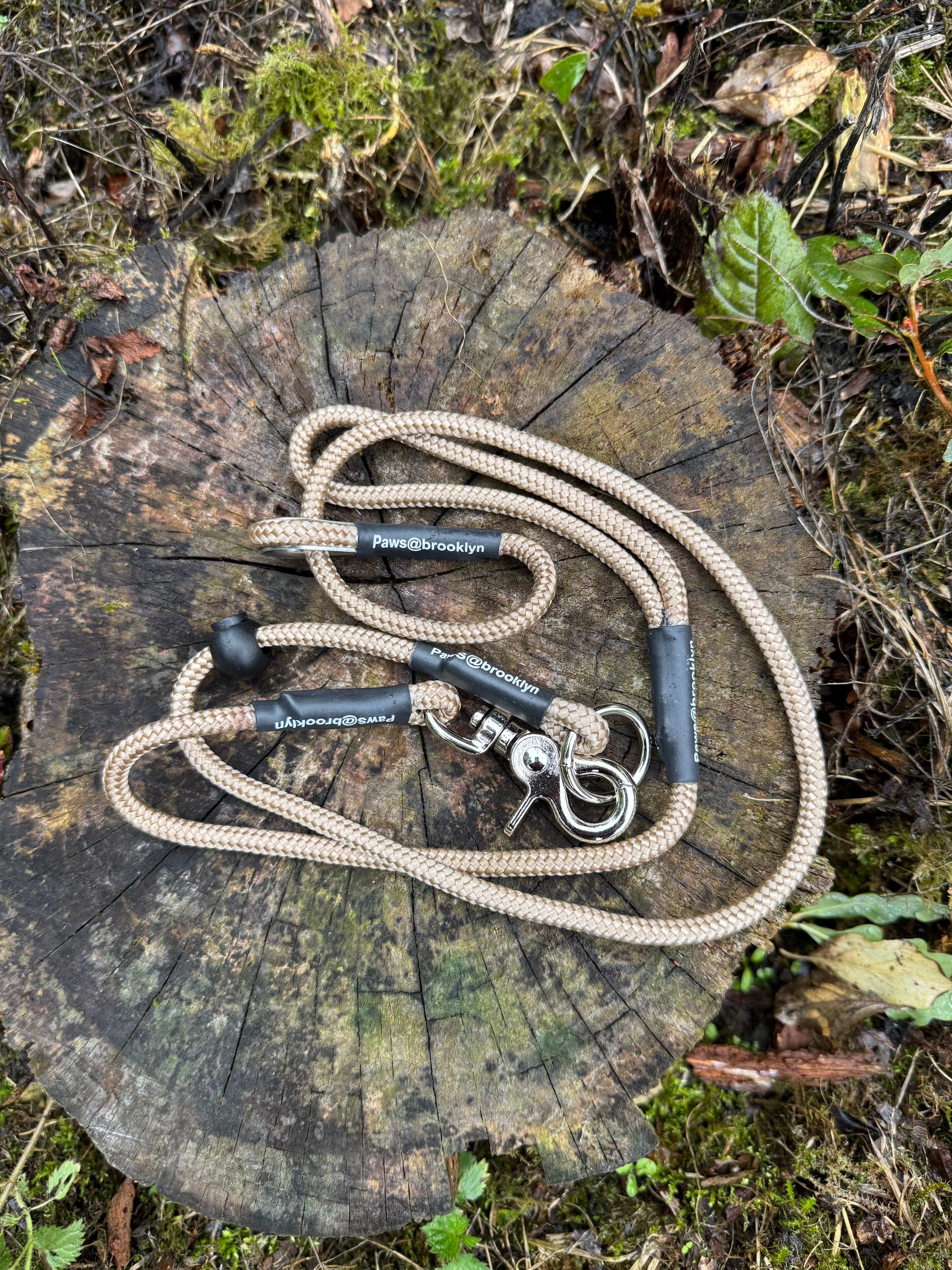 Paws@brooklyn heeling lead with slip collar