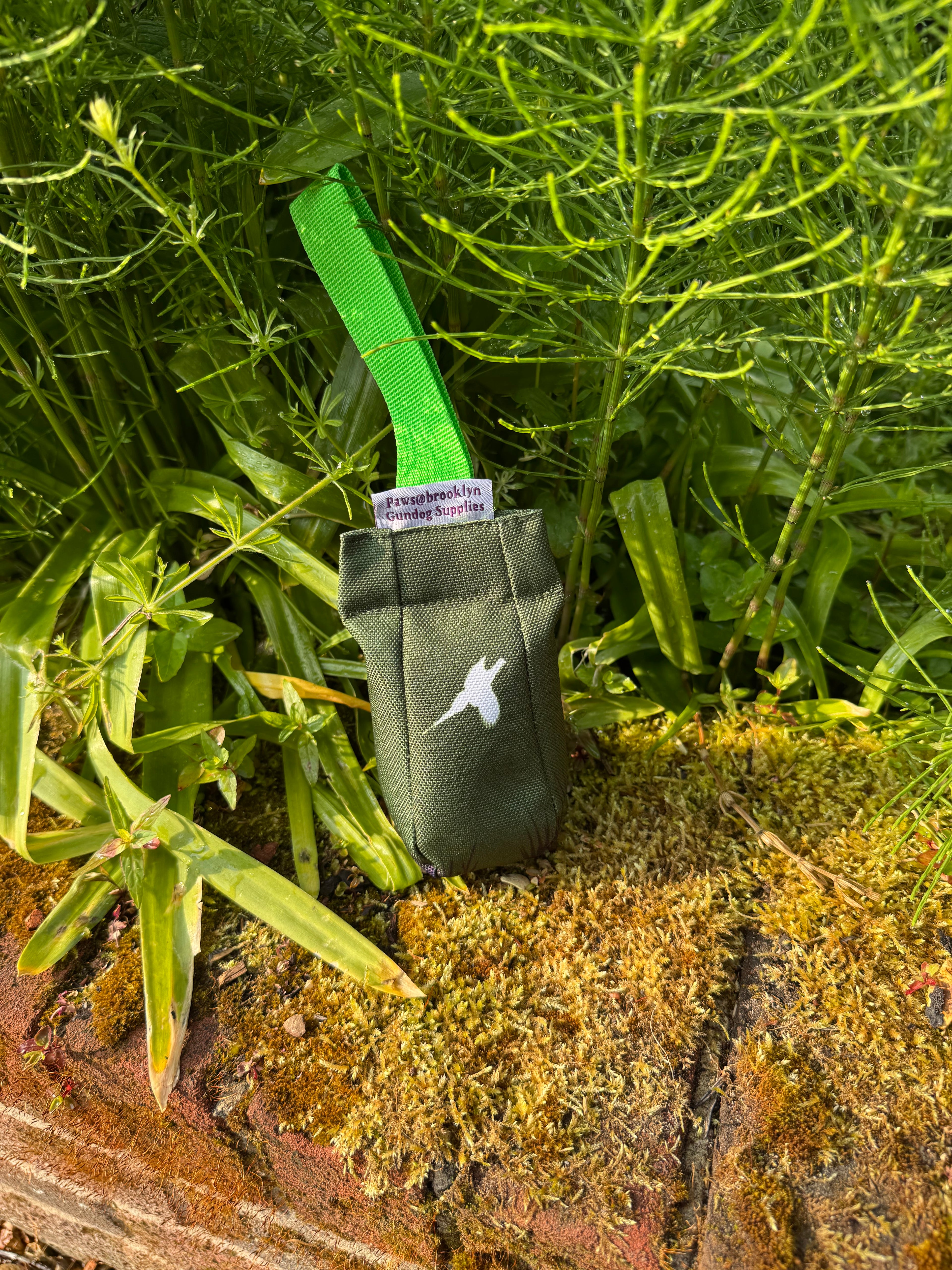 Paws@brooklyn Paws Spaniel Dummies