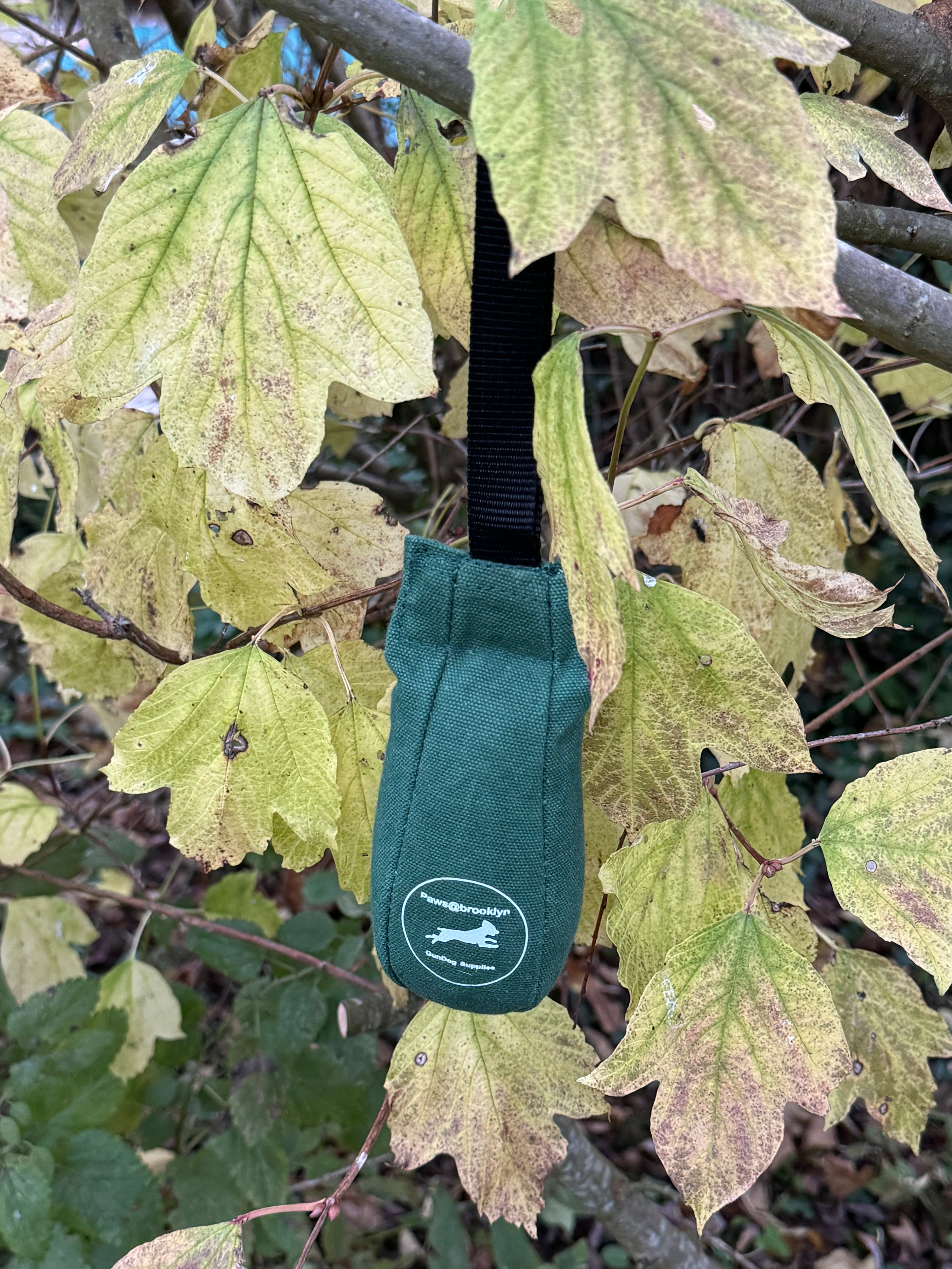 Paws@brooklyn Speedy Dummy Balls