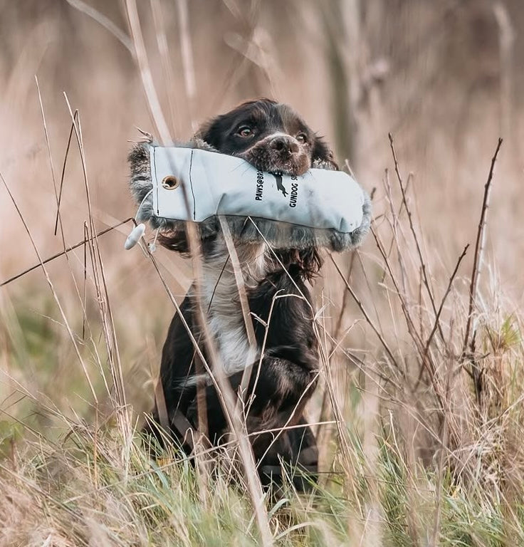 Paw@brooklyn 1/2 Fur/Canvas Dummies