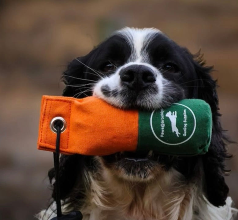 Paws@brooklyn Canvas Dummies