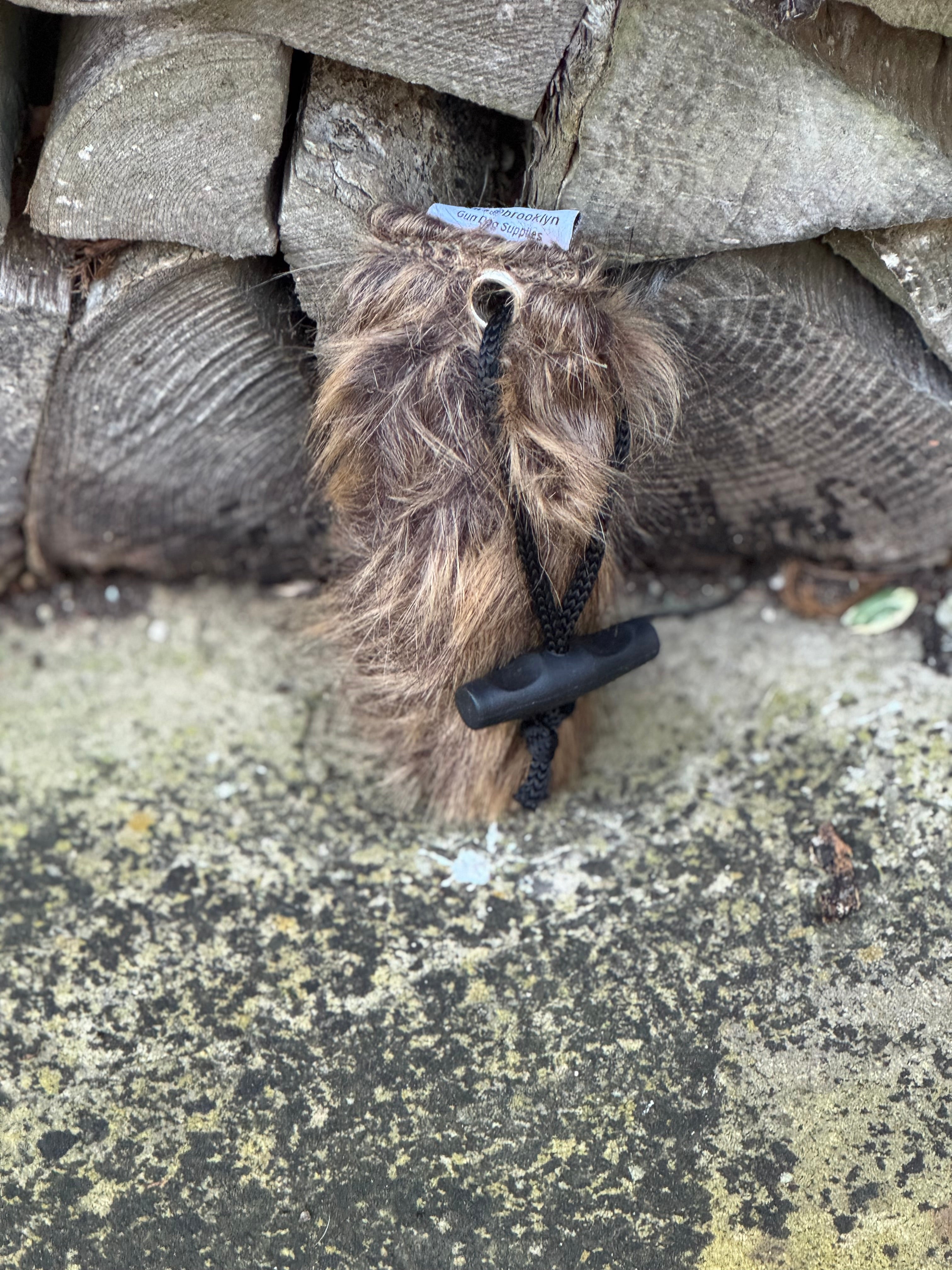 Paws@brooklyn Fur Dummies