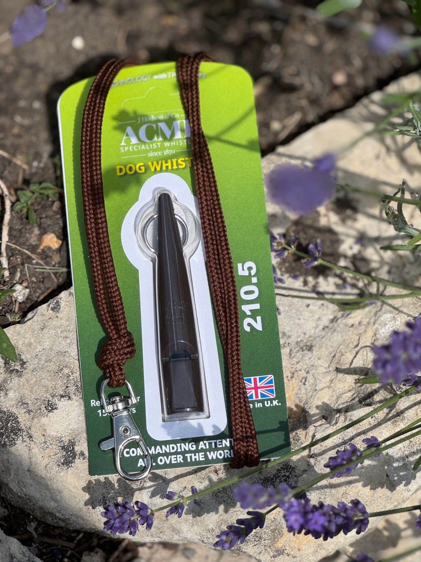 Paws@brooklyn Acme Whistle and Lanyard Set