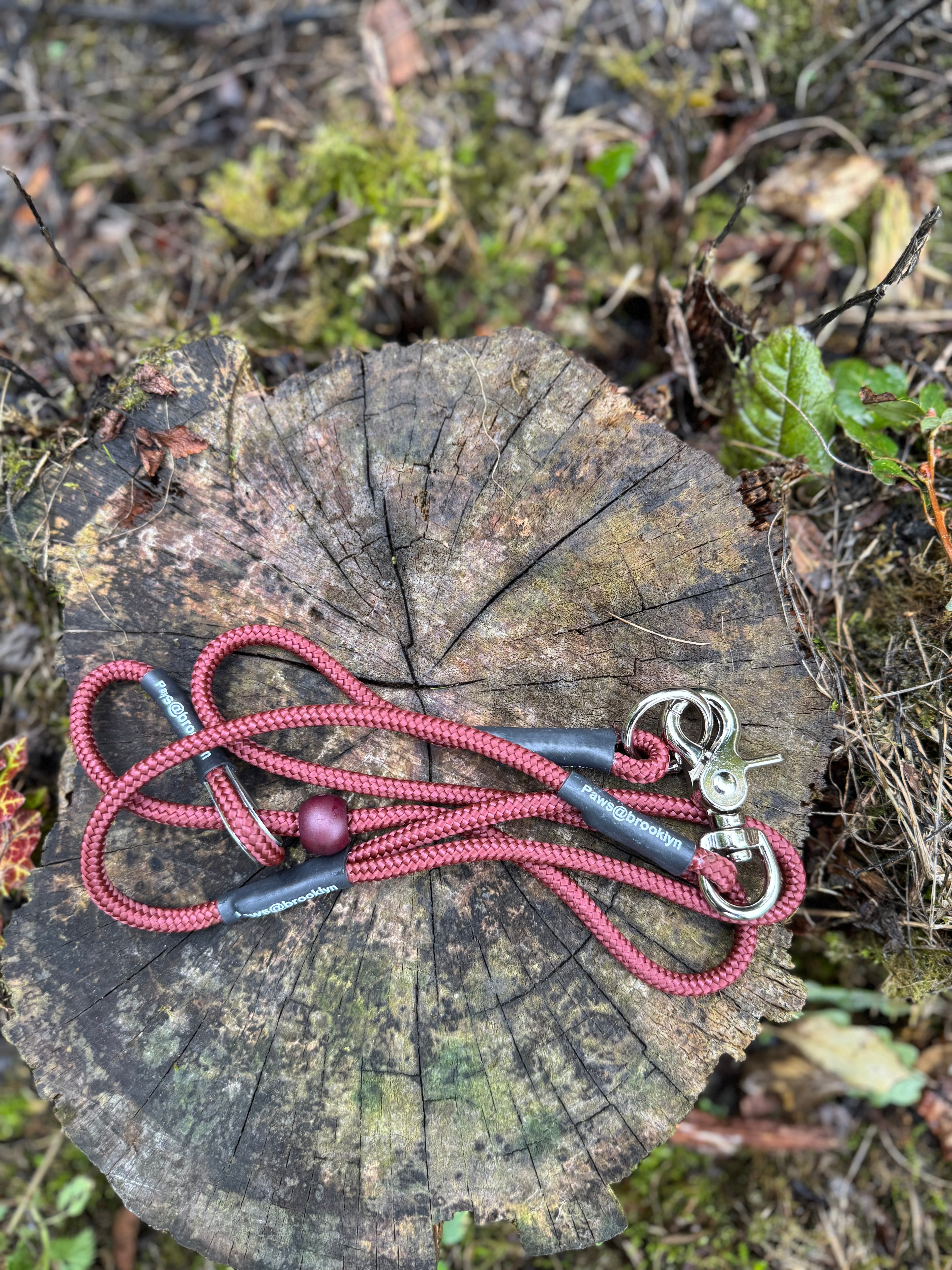 Paws@brooklyn heeling lead with slip collar