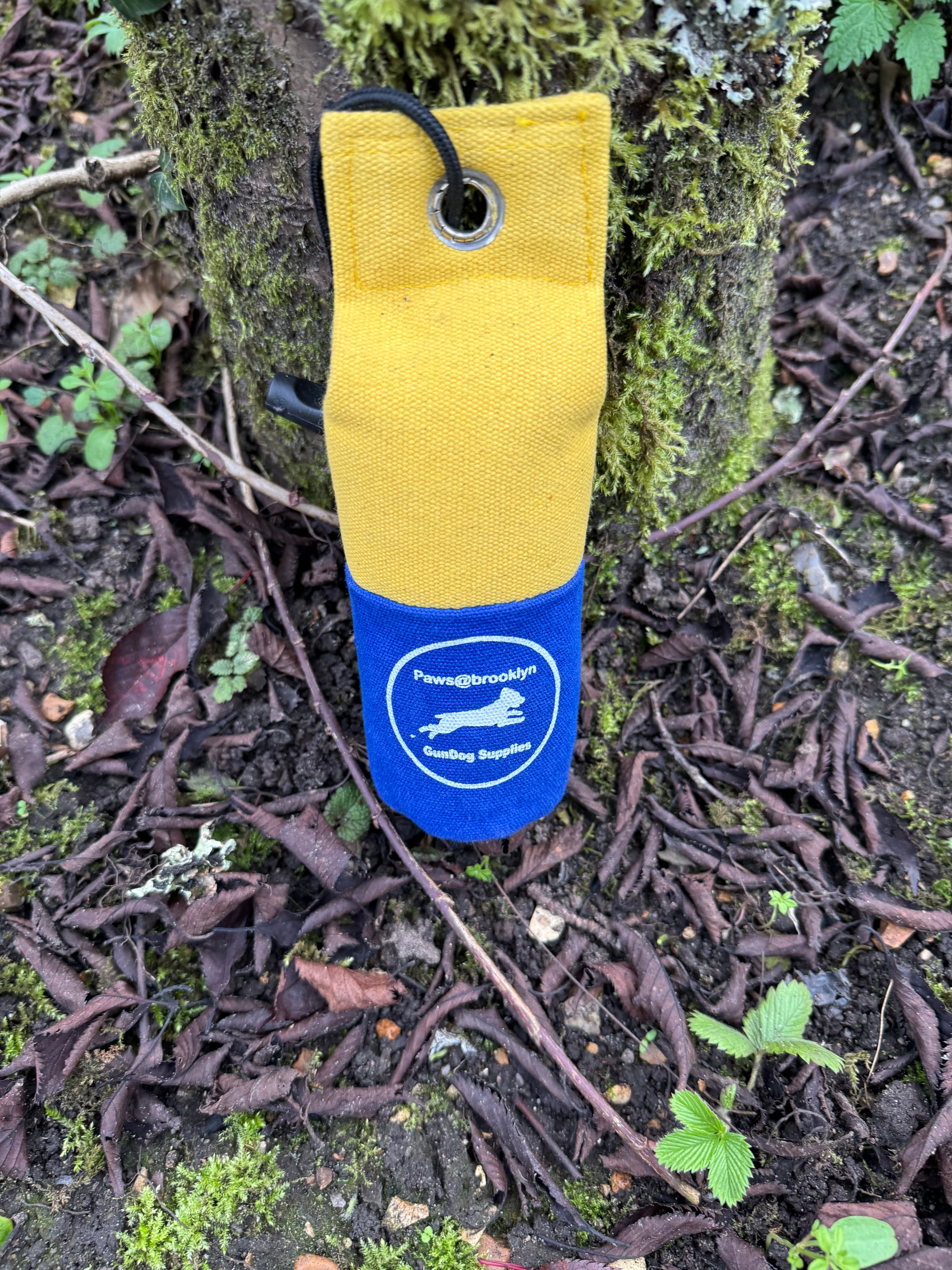 Paws@brooklyn Canvas Dummies