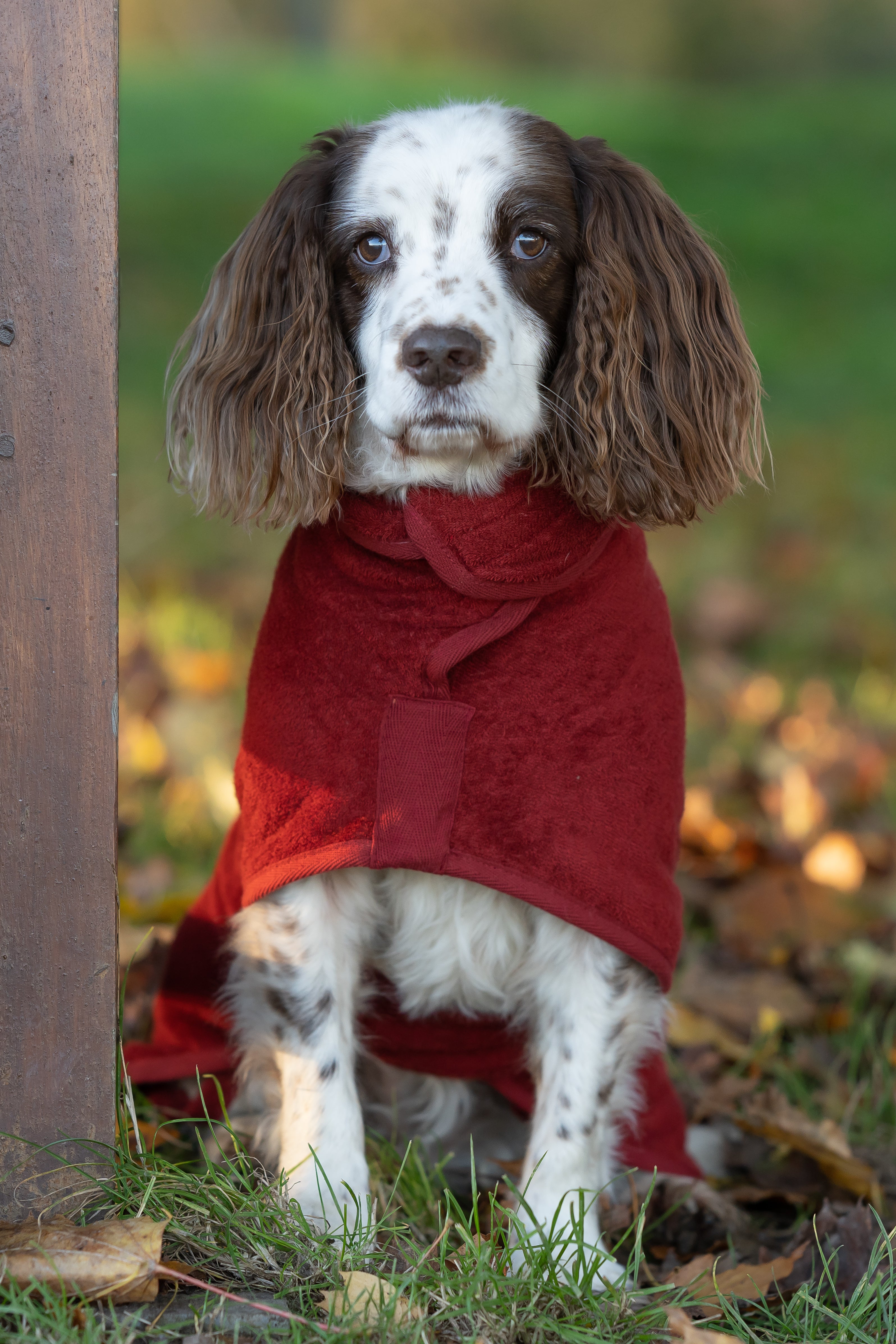 Ruff & Tumble Classic Drying Coat