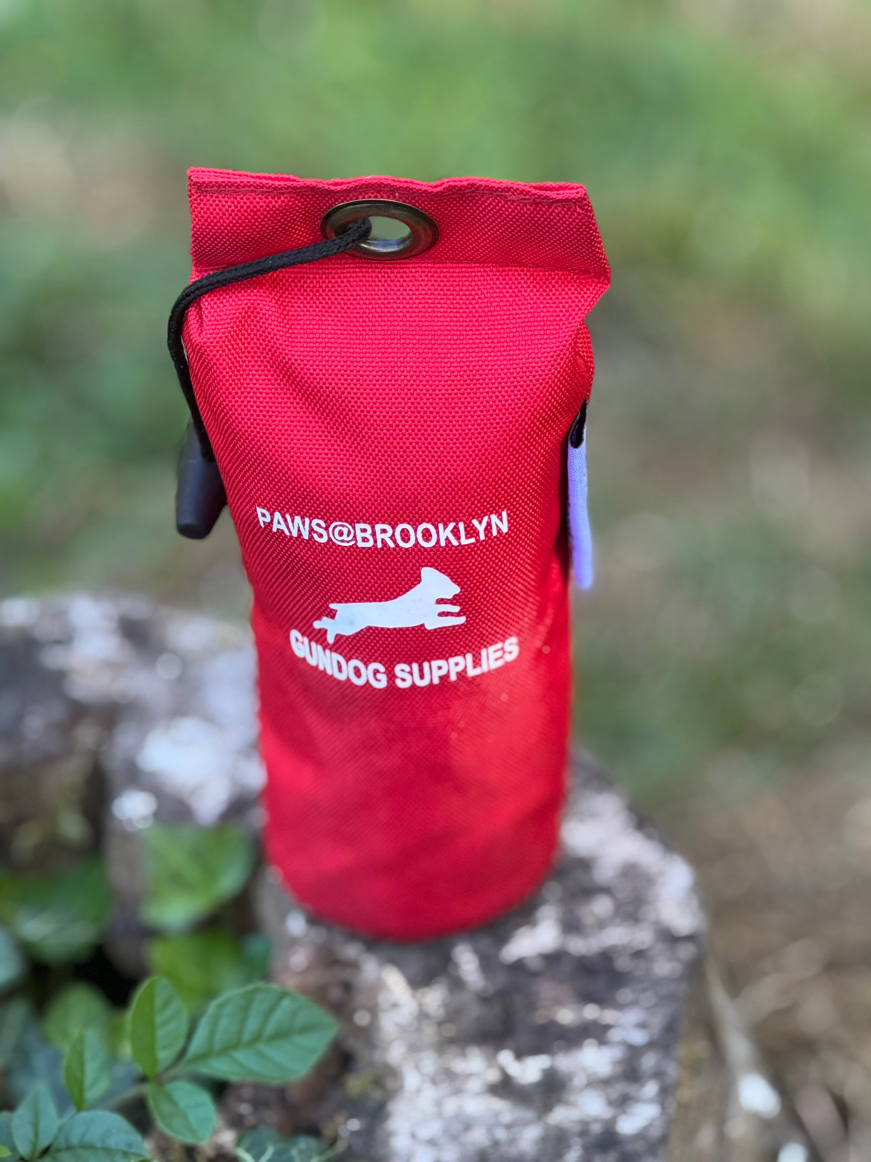 Paws@brooklyn Rainbow and Canvas Dummies