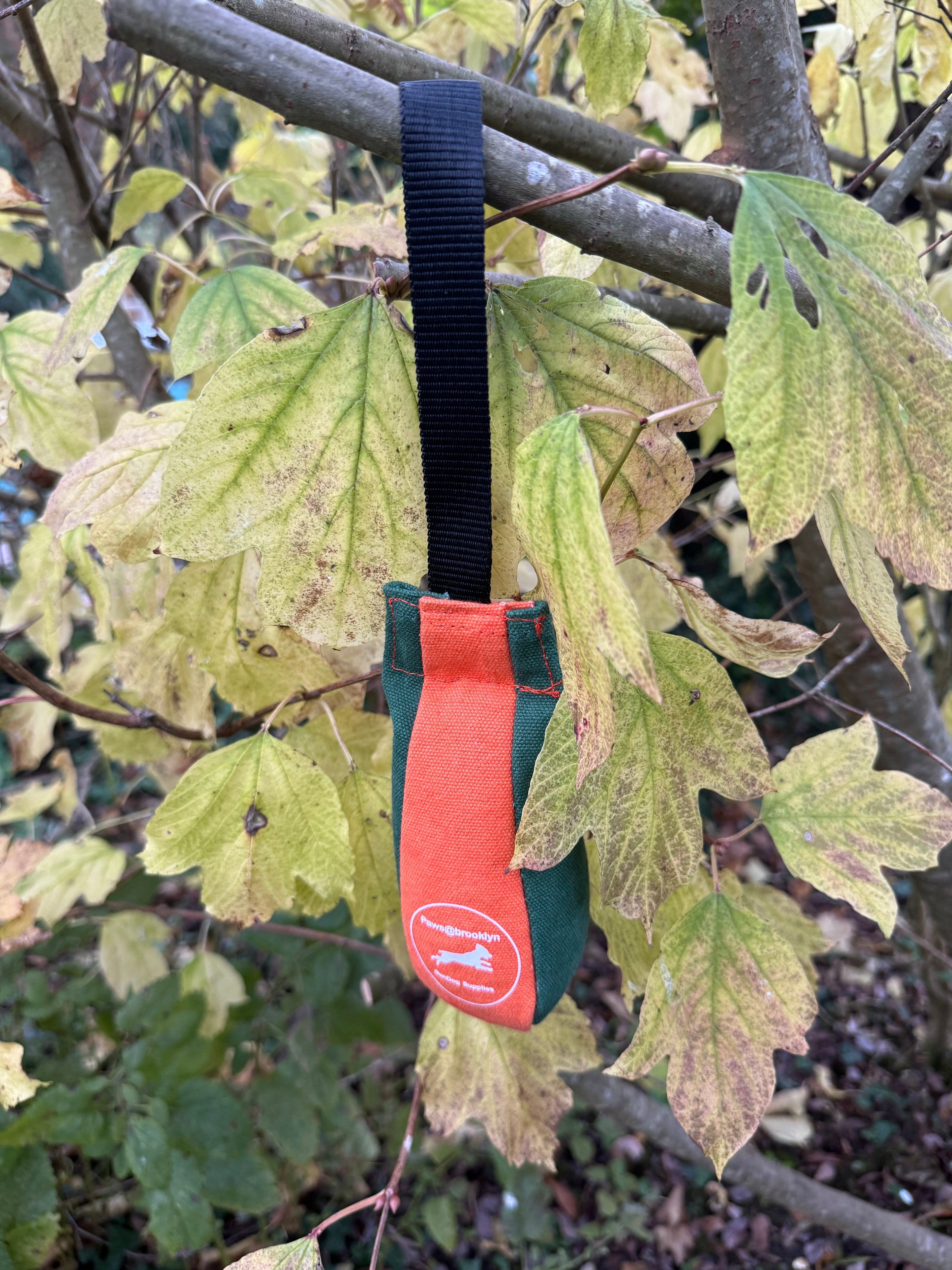 Paws@brooklyn Speedy Dummy Balls