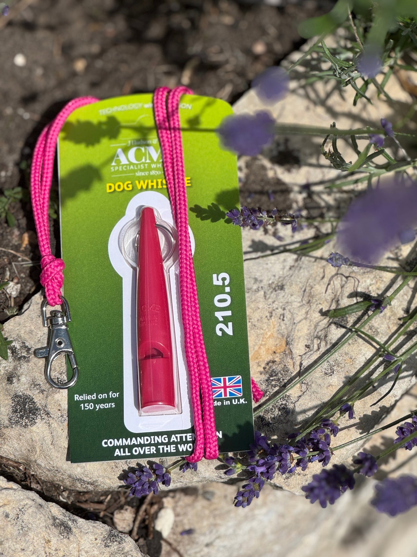 Paws@brooklyn Acme Whistle and Lanyard Set
