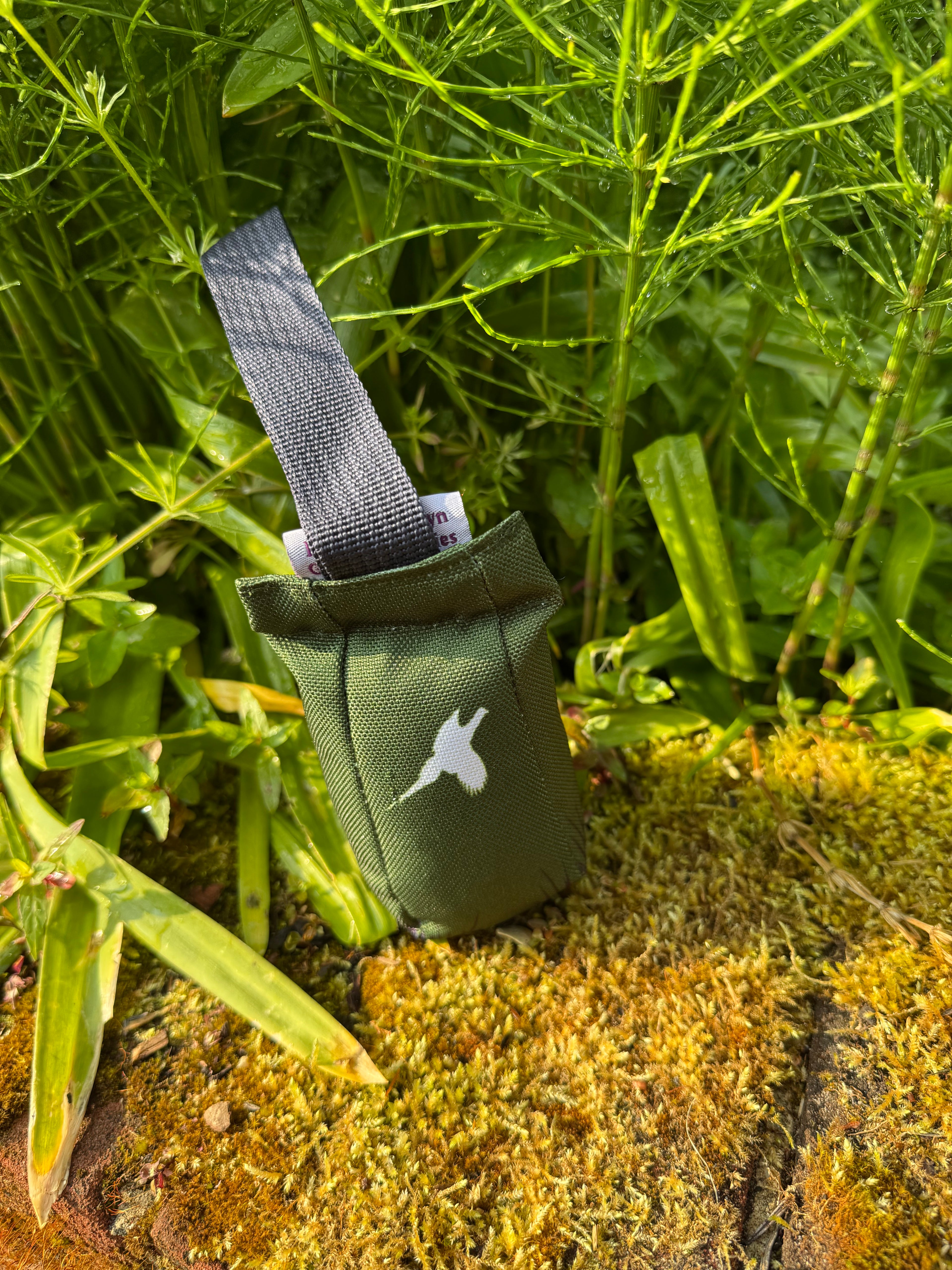 Paws@brooklyn Paws Spaniel Dummies