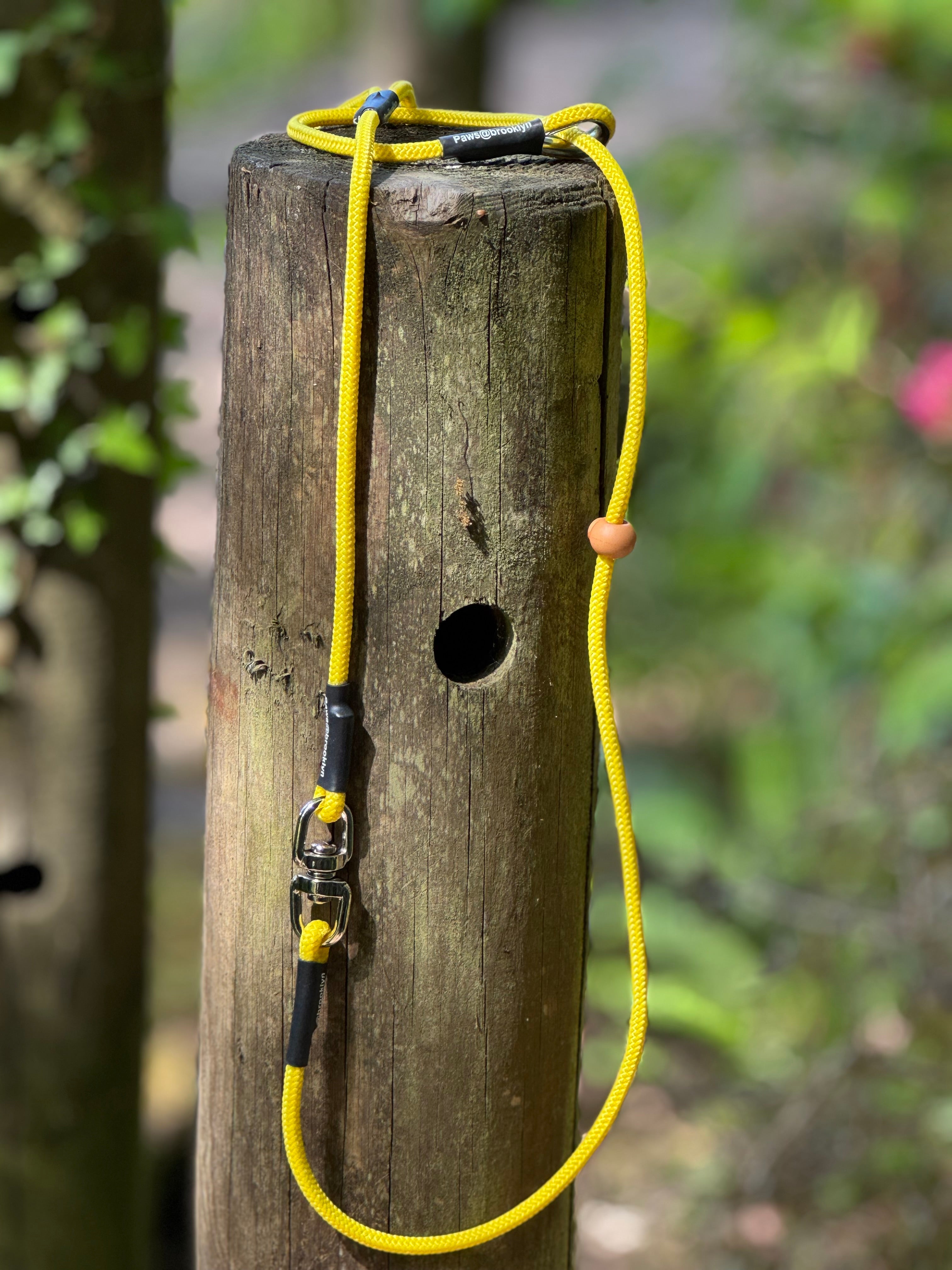 Paws@brooklyn 6mm Swivel Lead