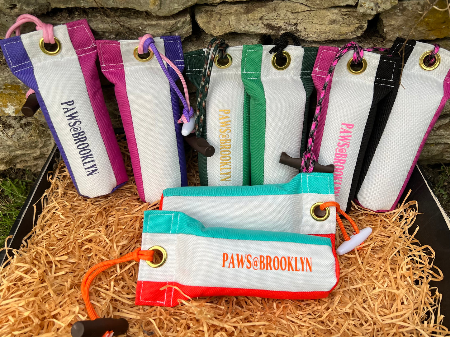 Paws@brooklyn New Design Limited Edition Dummies