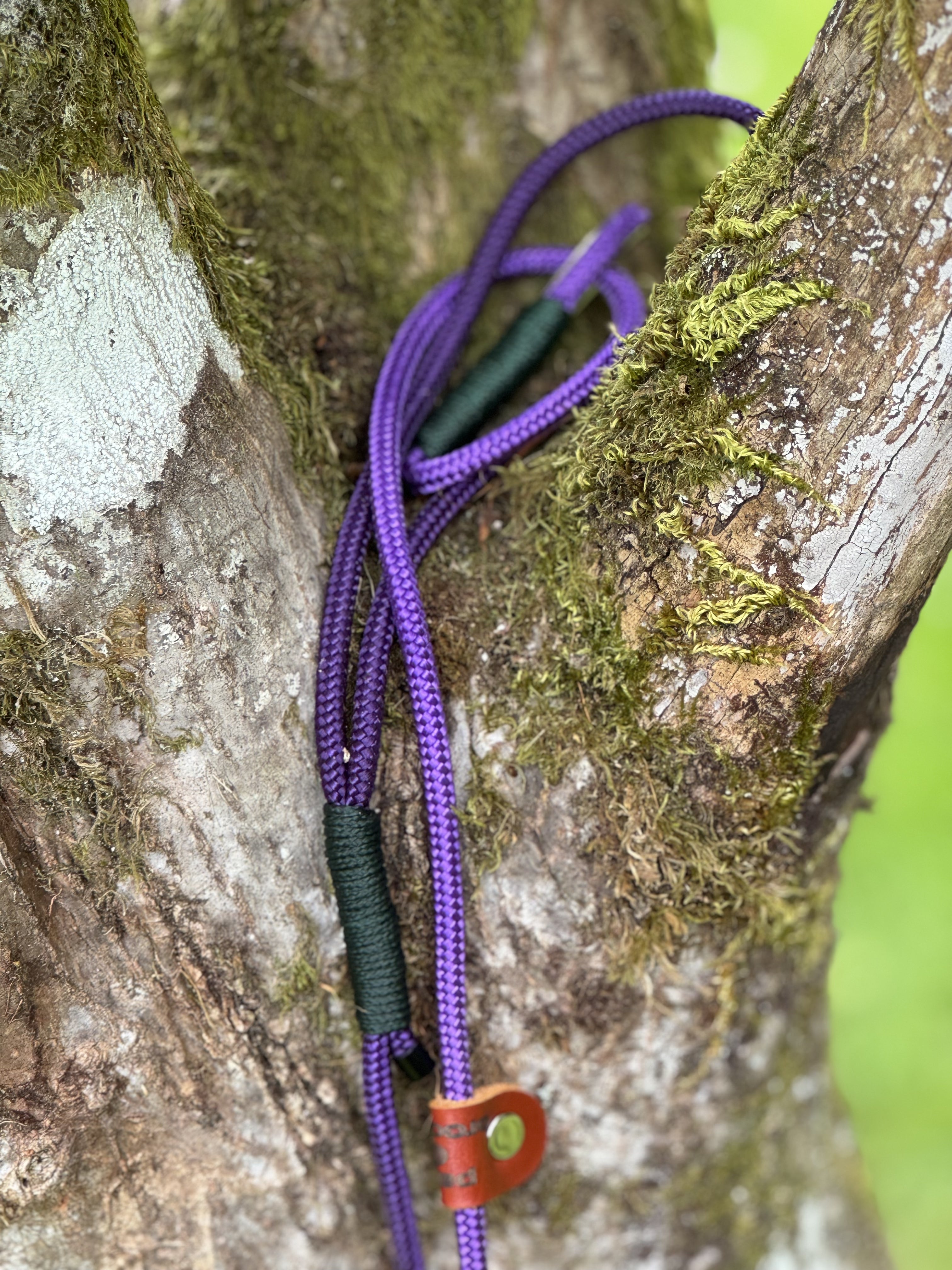 Paws@brooklyn Slip Leads - The Orchard Collection