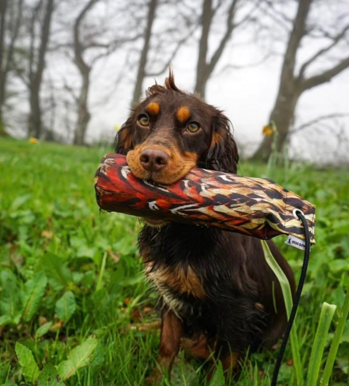 Dog & Field Original Clone Dummies