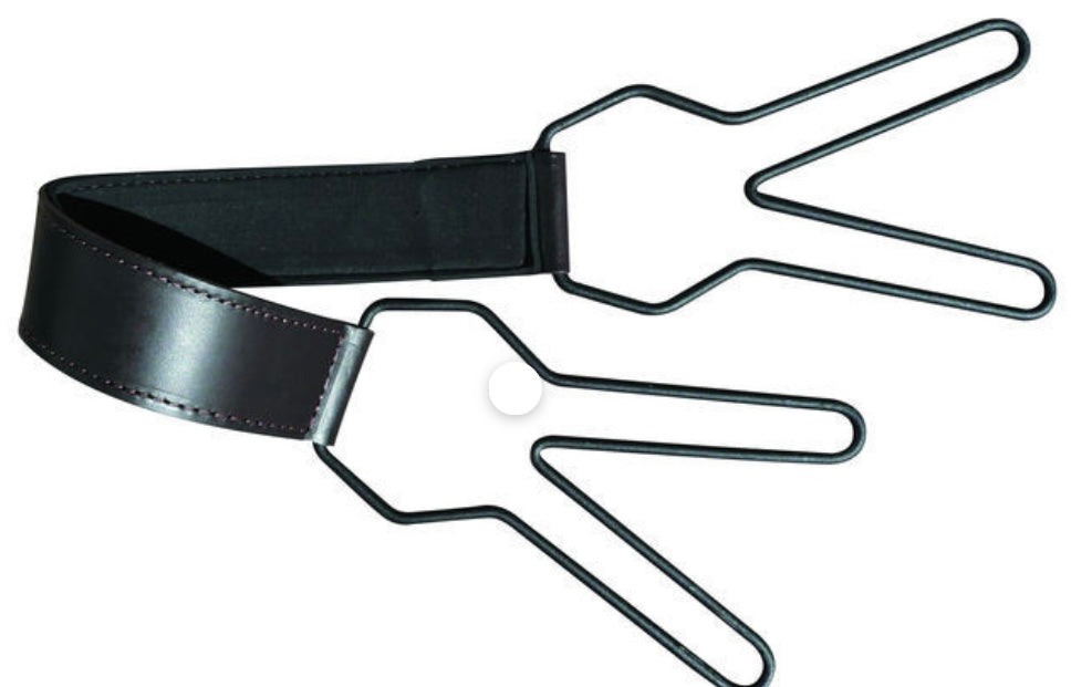 Sporting Saint Deluxe game Carrier