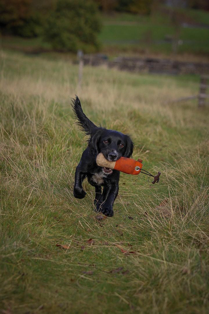 Firedog 250g Canvas Dummies