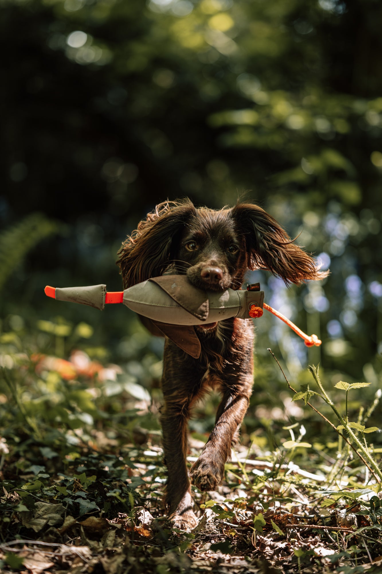 Firedog Flying Duck Dummy