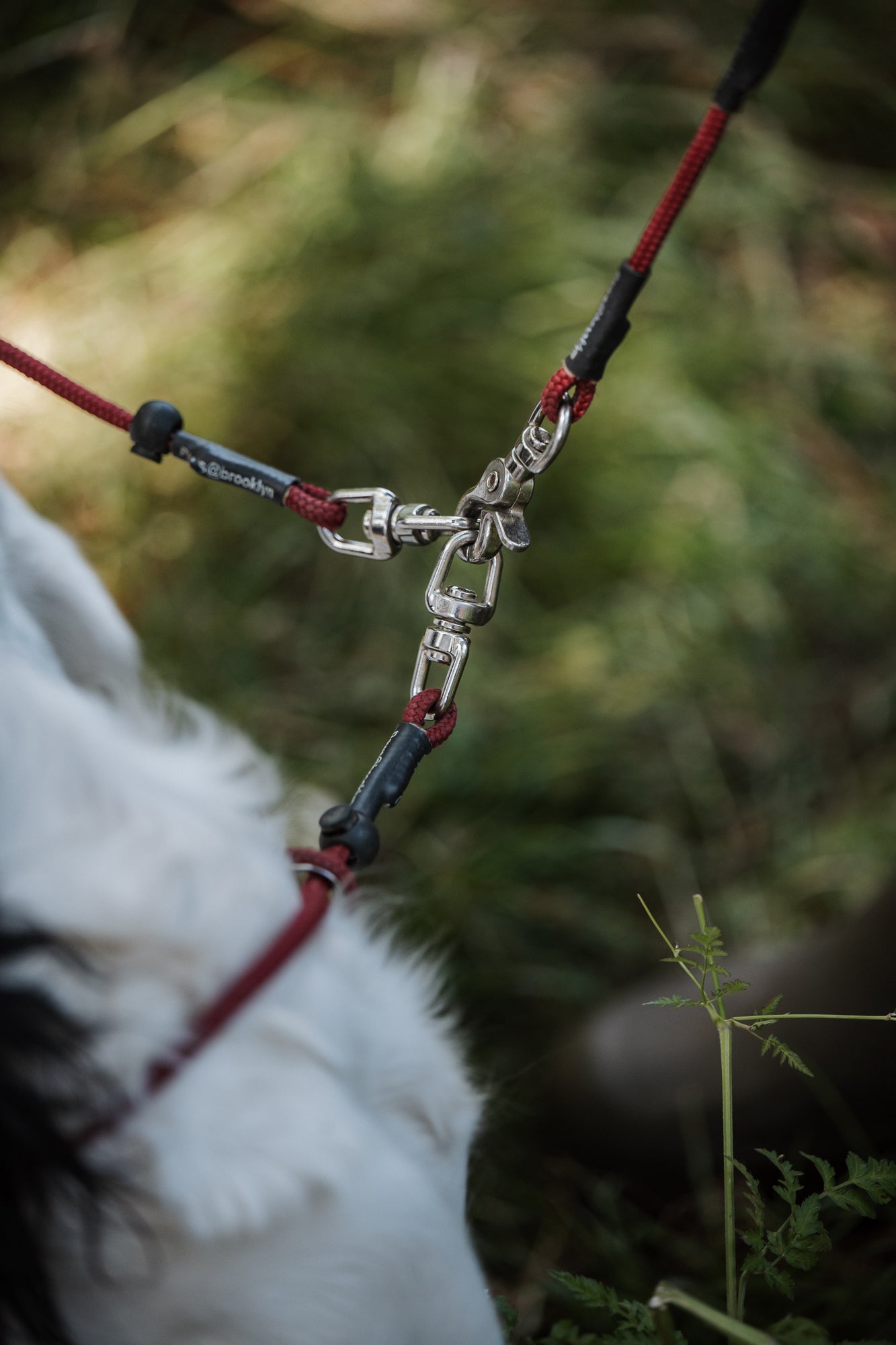 Paws@brooklyn Darklass Double Swivel Lead