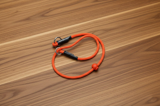 Paws@Brooklyn Slip Collars