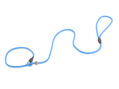 Firedog Field Trial Slip Leads