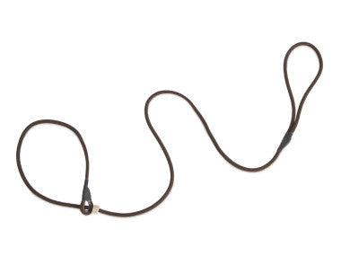 Firedog Field Trial Slip Leads