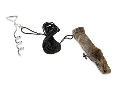 Firedog Running Rabbit (Bolting Rabbit)