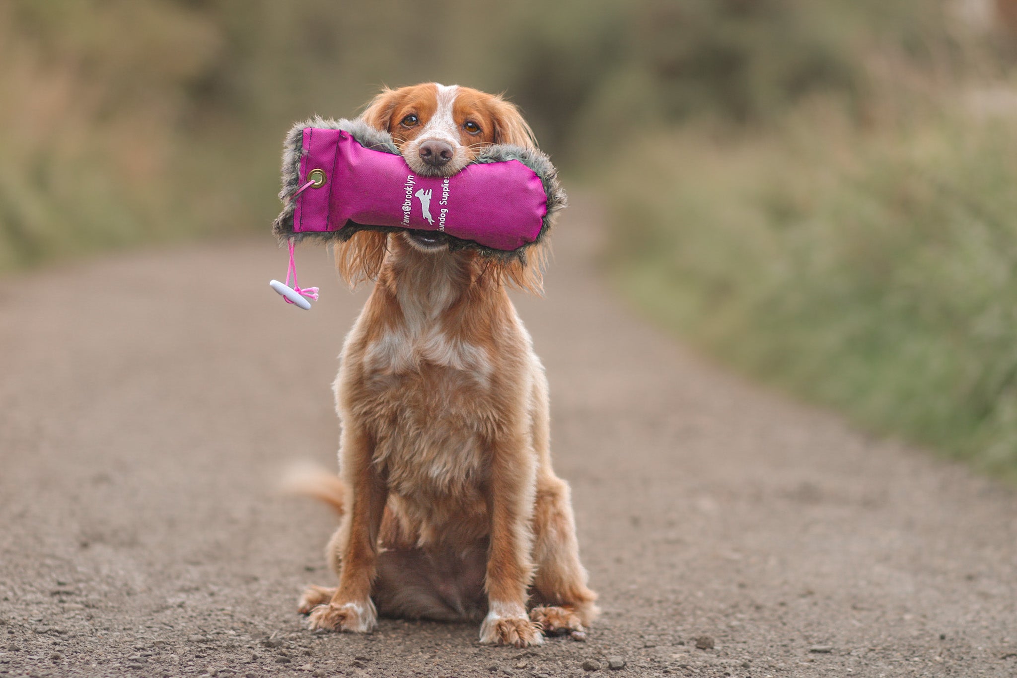 SportDOG Orange Canvas Puppy Gun Training Dummy - SAC00-11688 Blain's Farm & Fle