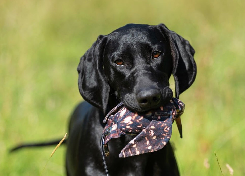 Dog and Field Feather Print Dummies
