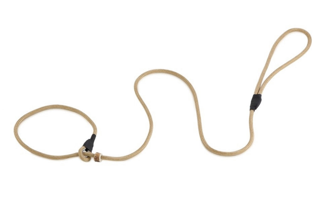 Firedog Field Trial Slip Leads