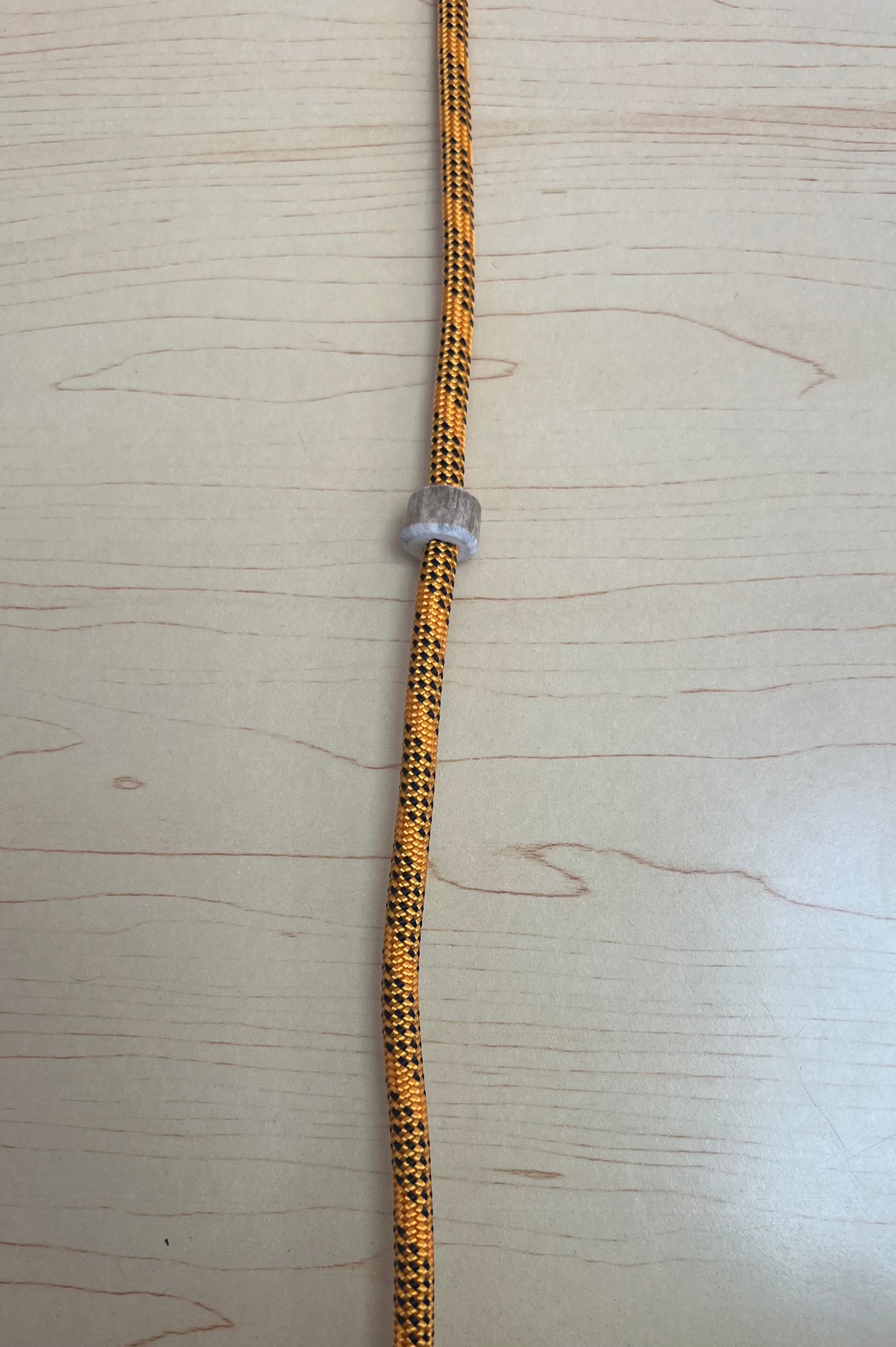 Firedog Field Trial Slip Leads