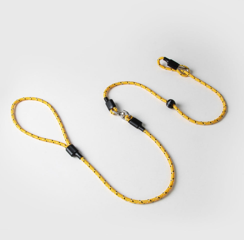 Dog and Field Swivel Slip Leads