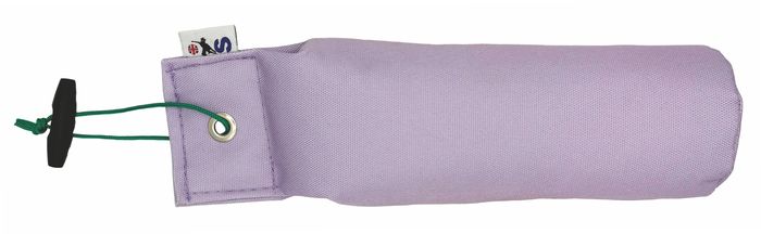 Sporting Saint Canvas Dummies