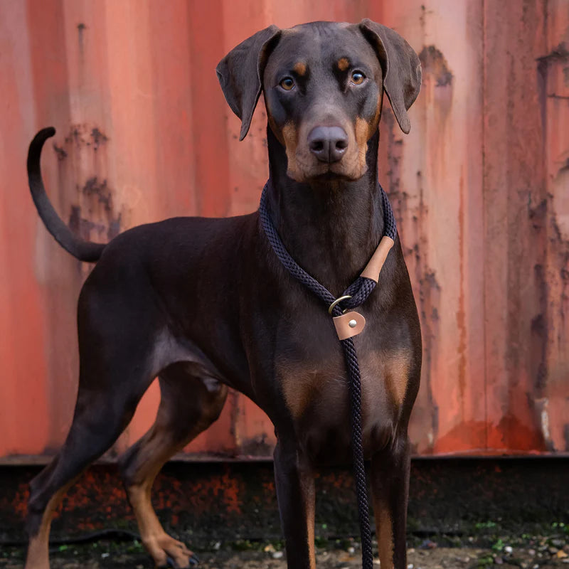 Ruff and Tumble Slip and Clip Leads