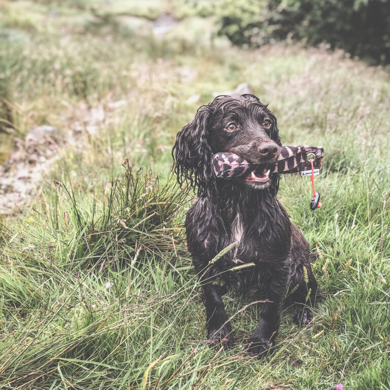 Dog & Field Original Clone Dummies