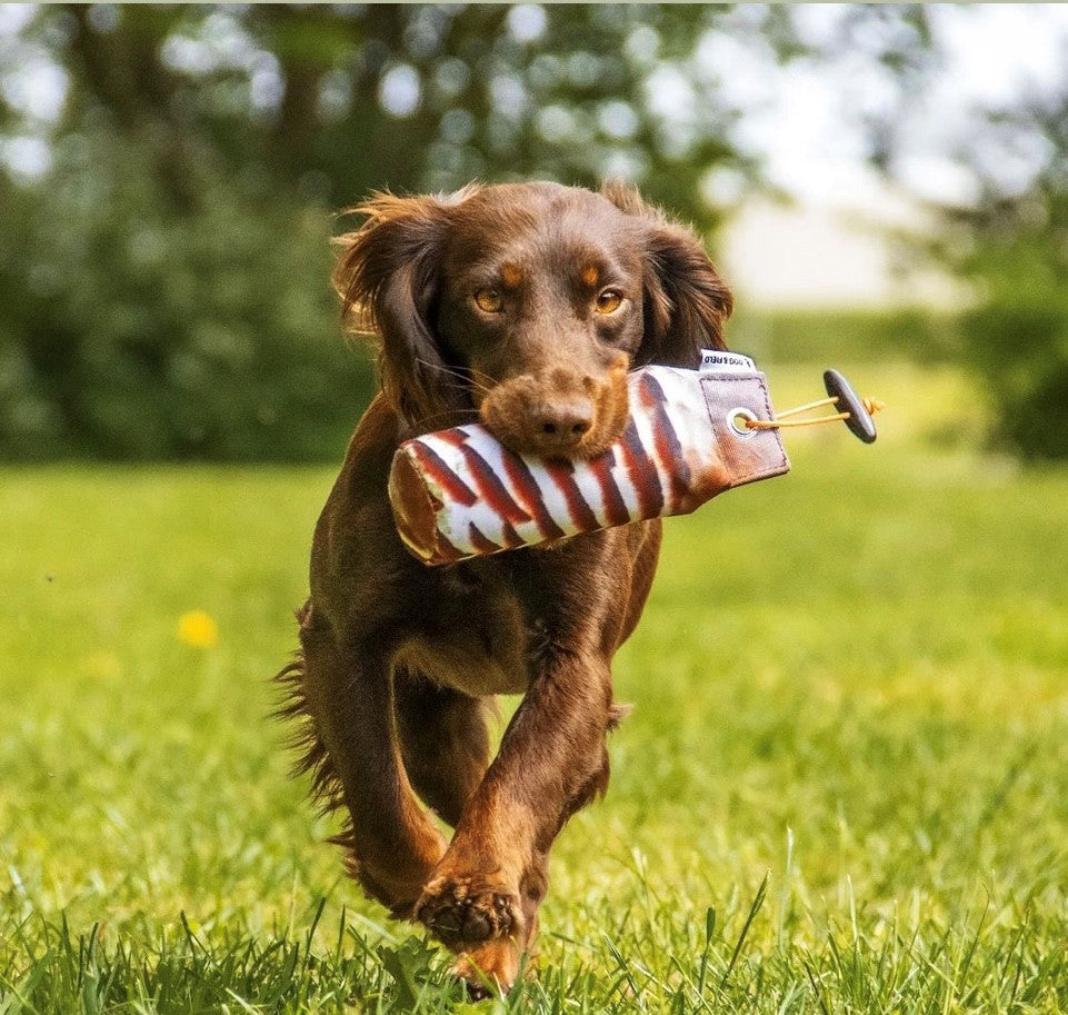 Dog & Field Original Clone Dummies