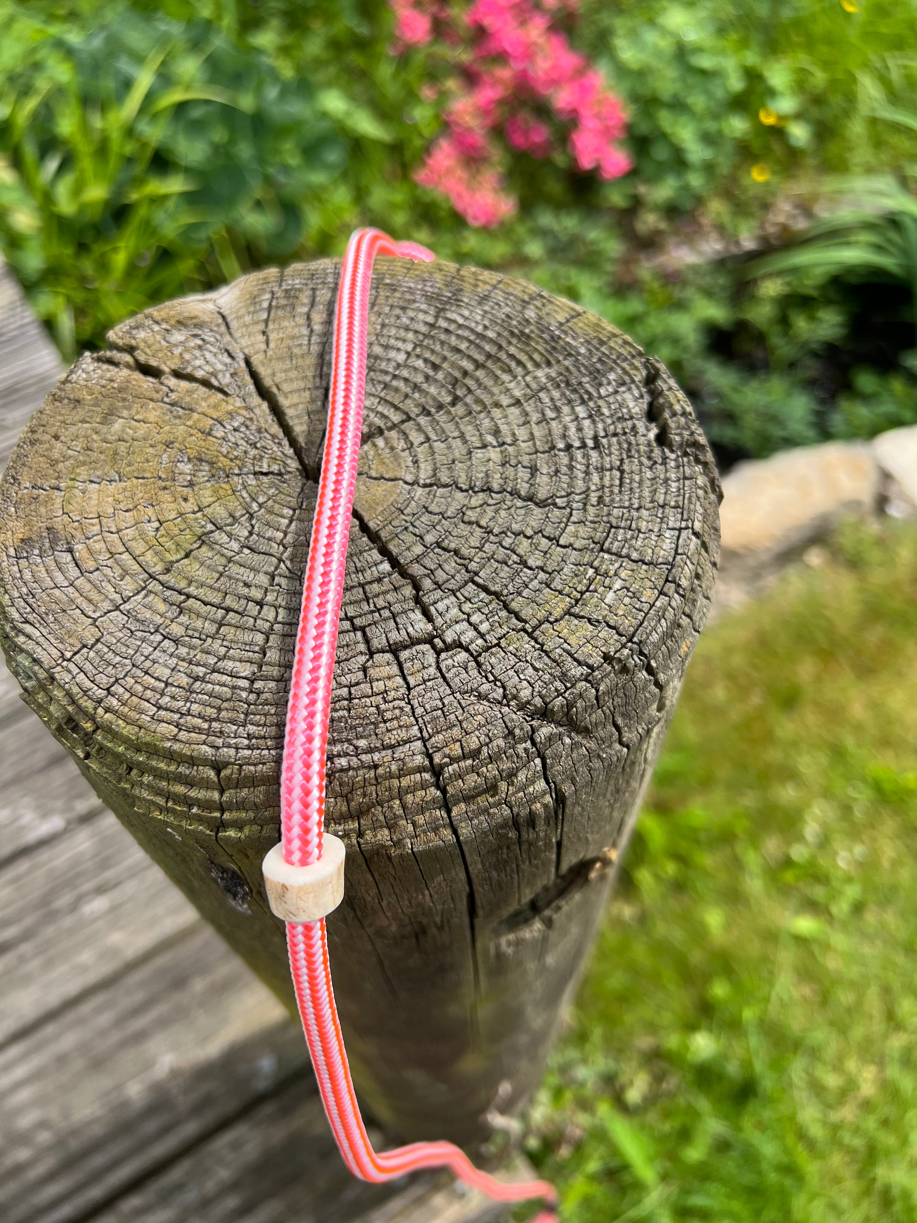 Firedog Field Trial Slip Leads