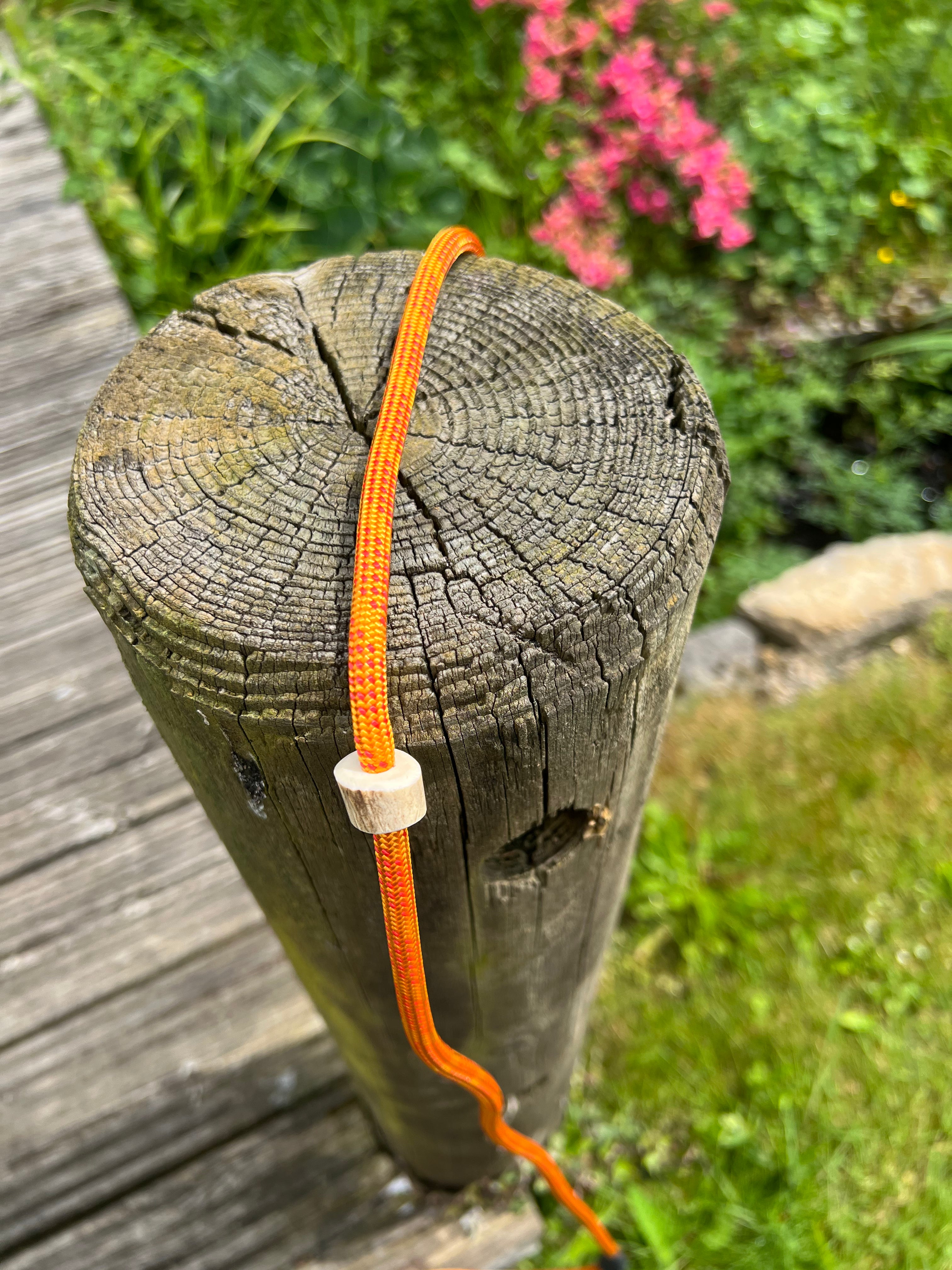 Firedog Field Trial Slip Leads