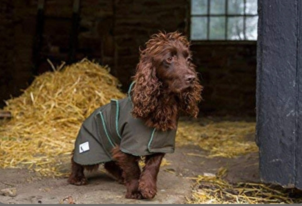 Dog & Field Waterproof Coats
