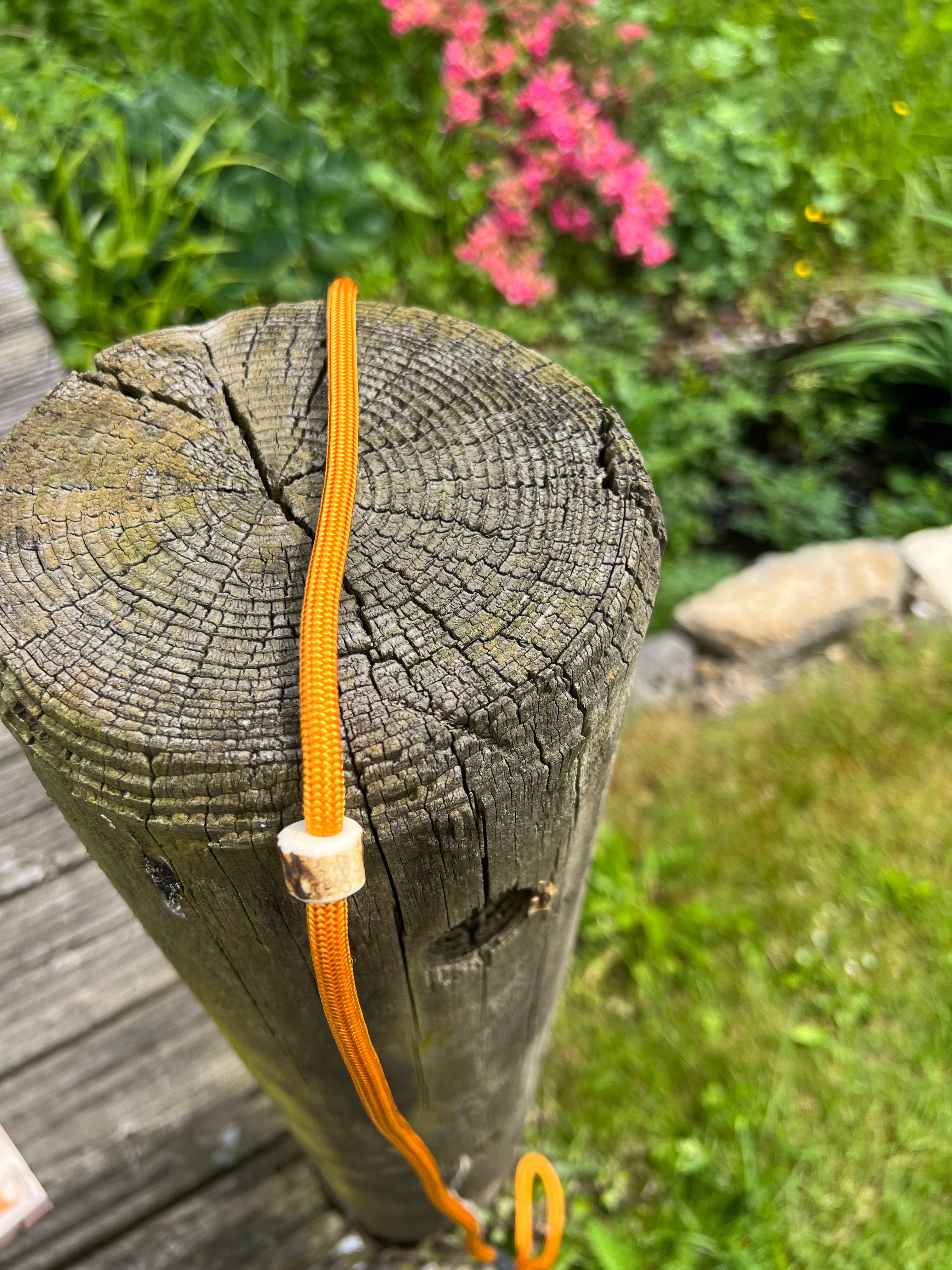 Firedog Field Trial Slip Leads