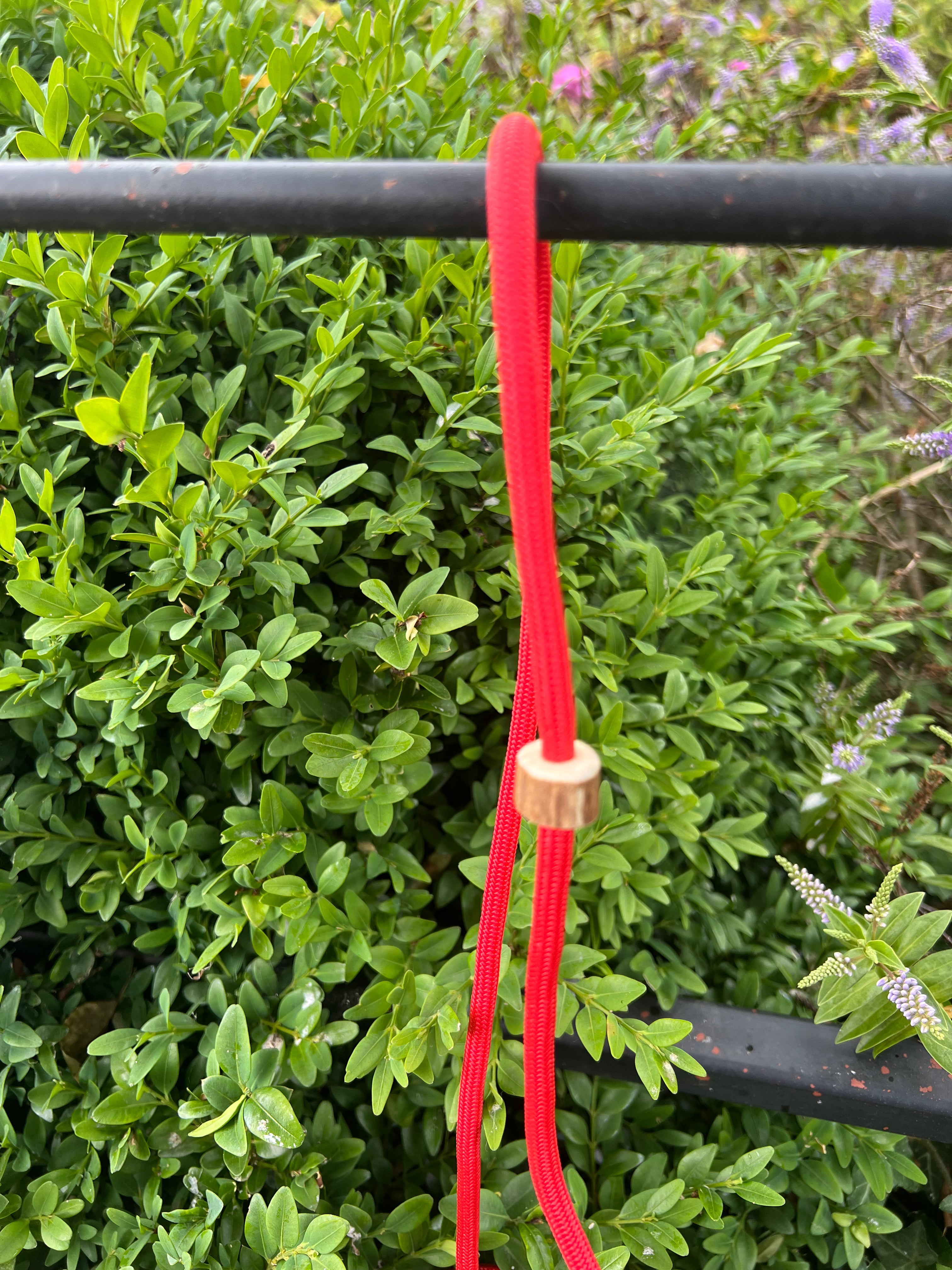 Firedog Field Trial Slip Leads